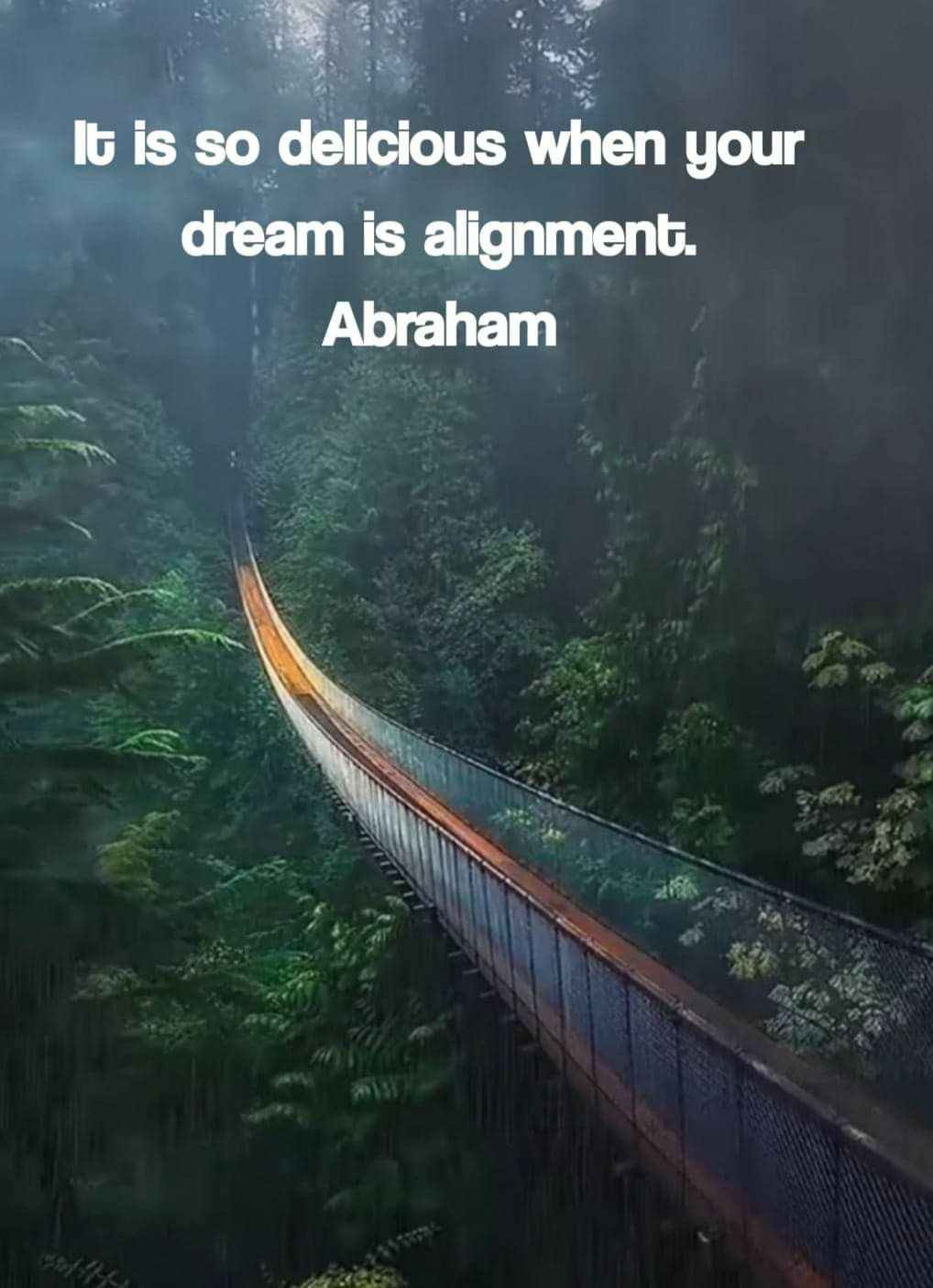 Suspension Bridge in Misty Forest