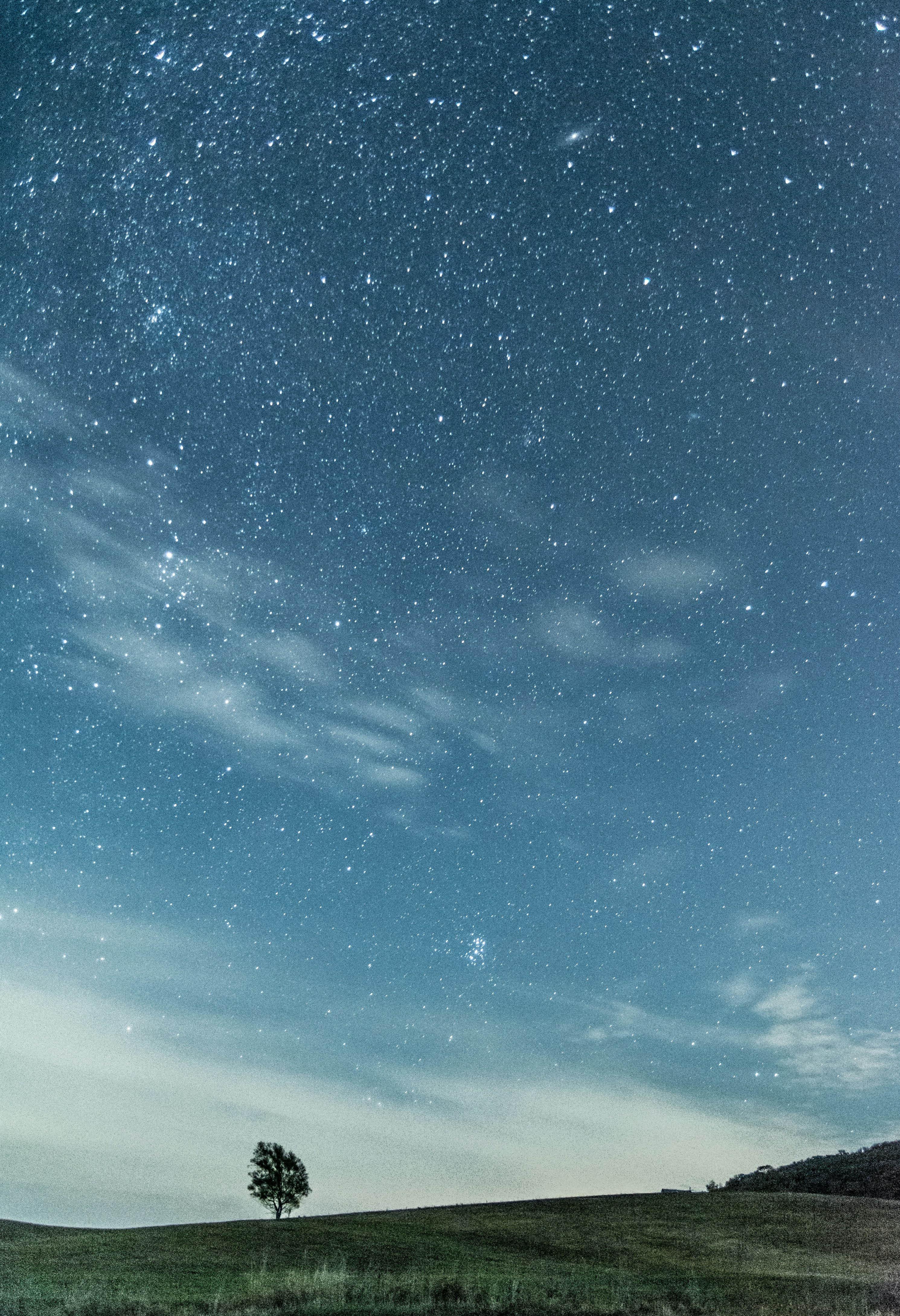 Lone Tree Under Starry Night Sky