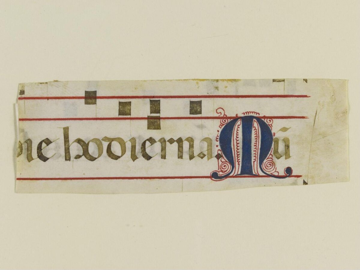 Medieval Illuminated Manuscript Fragment