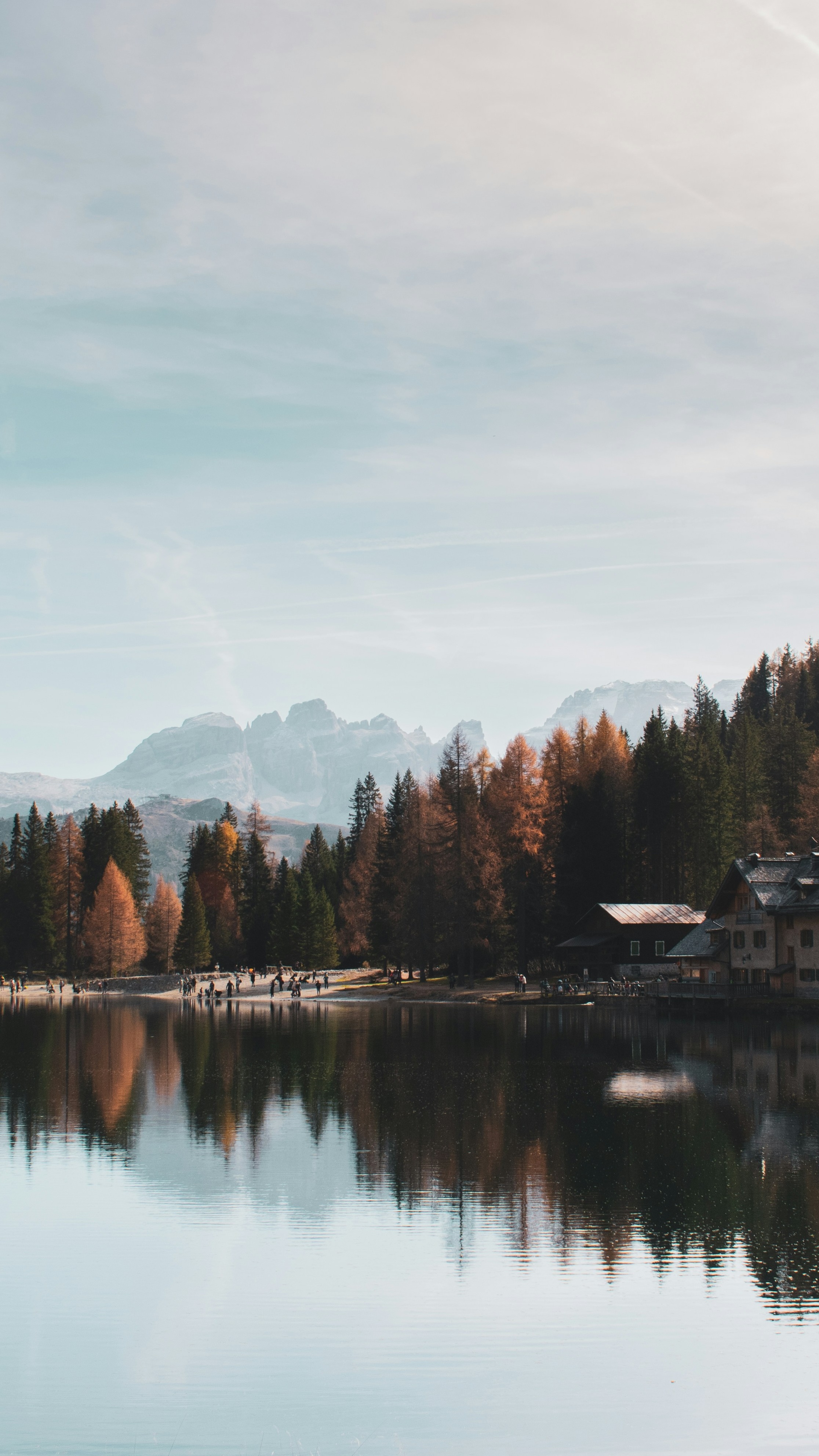 Wallpapers