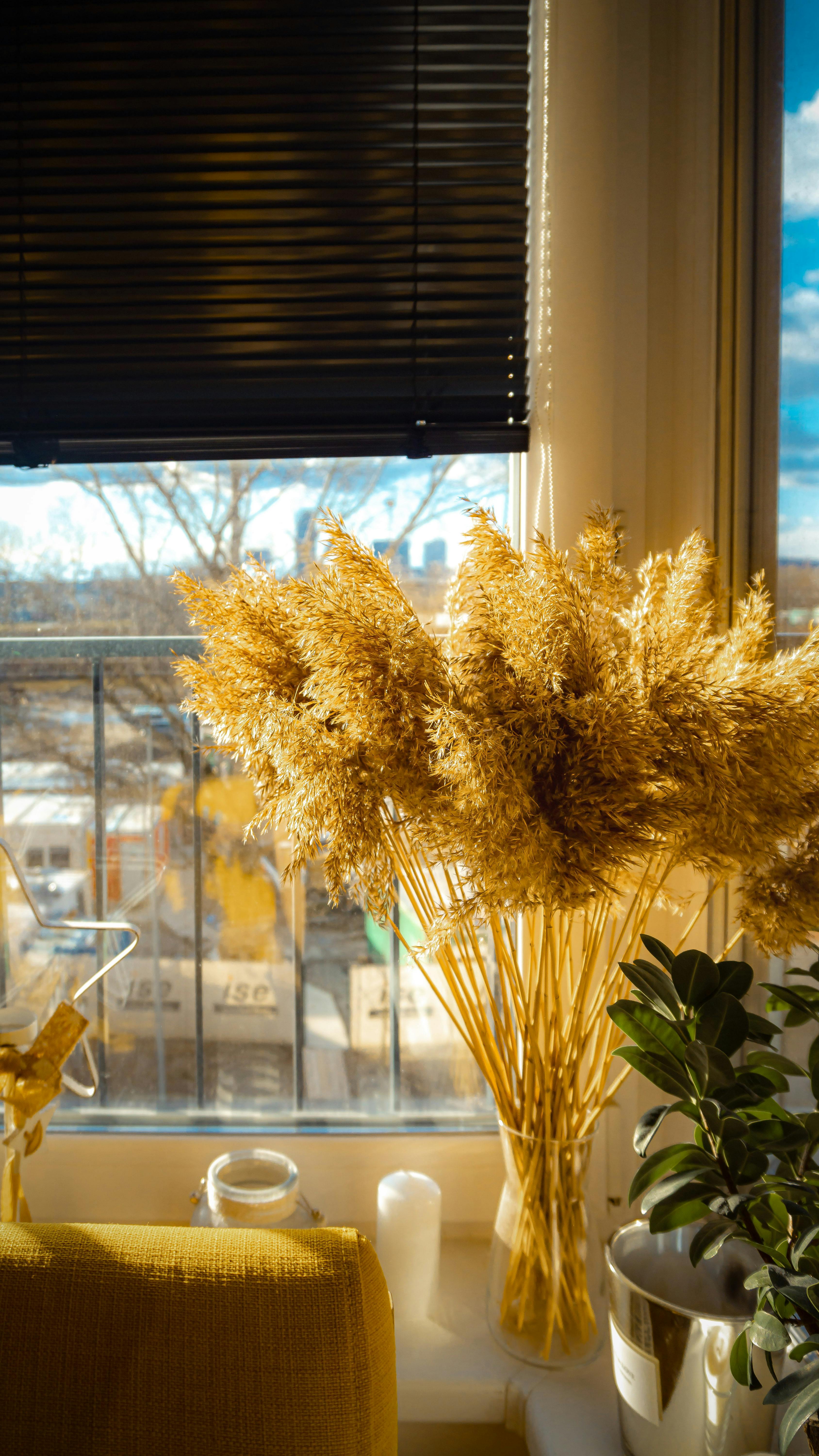 Home Decoration