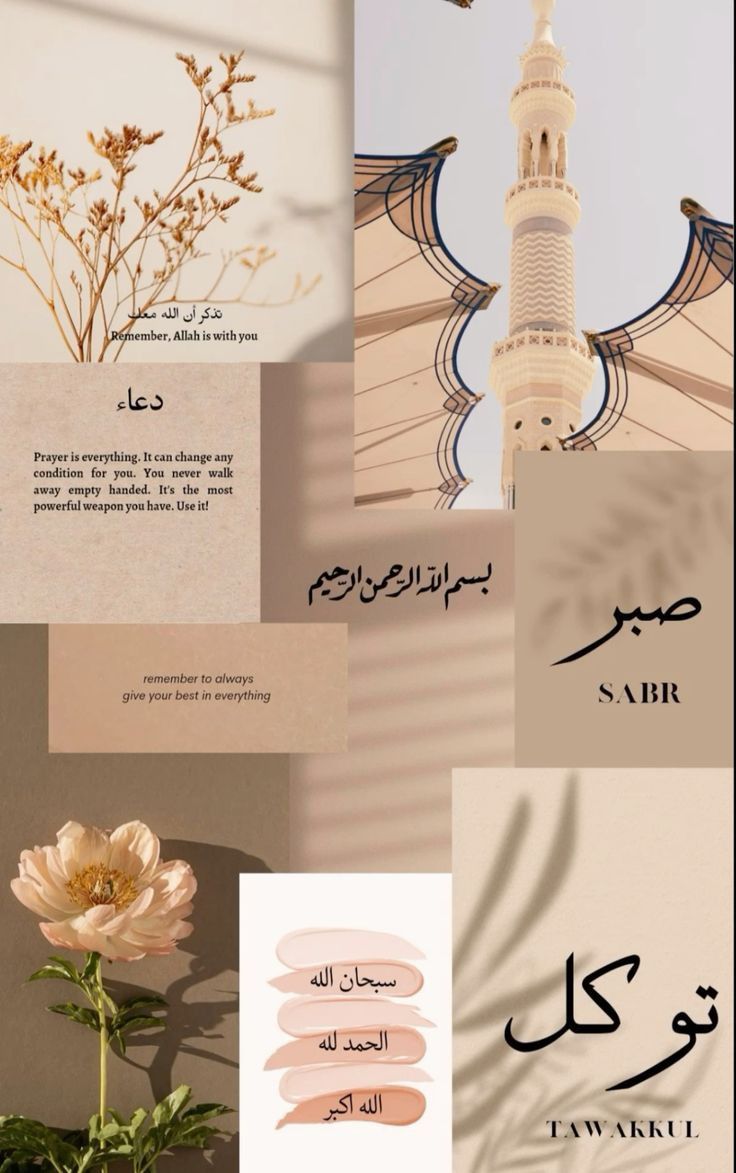 Wallpapers