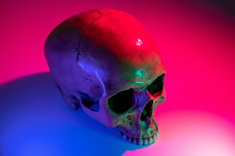 Neon Lit Human Skull