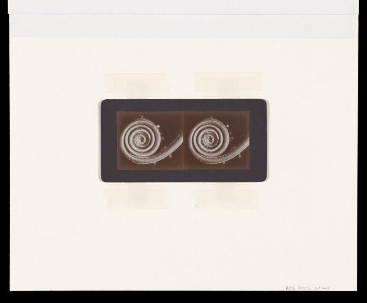 Stereoscopic Spiral Pattern Slide