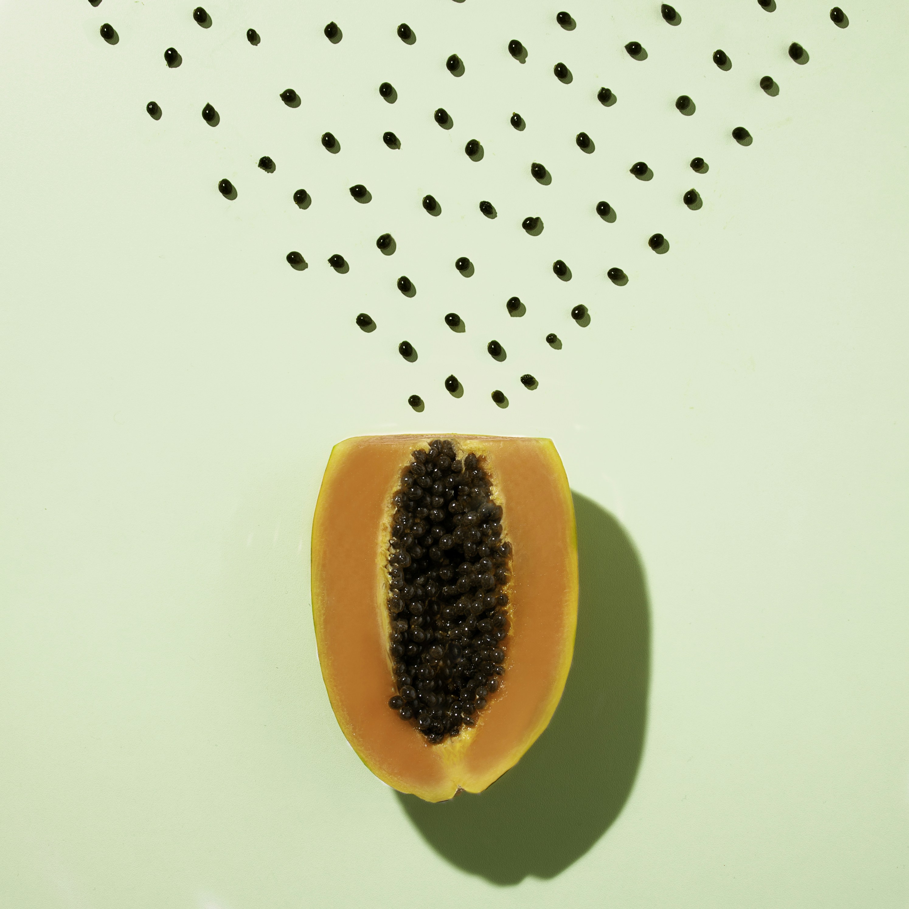 Creative Papaya Still Life — Fruit Encyclopedia