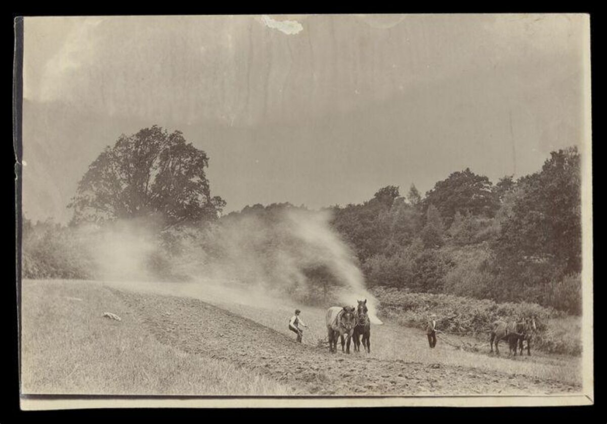 Vintage Farm Plowing Scene