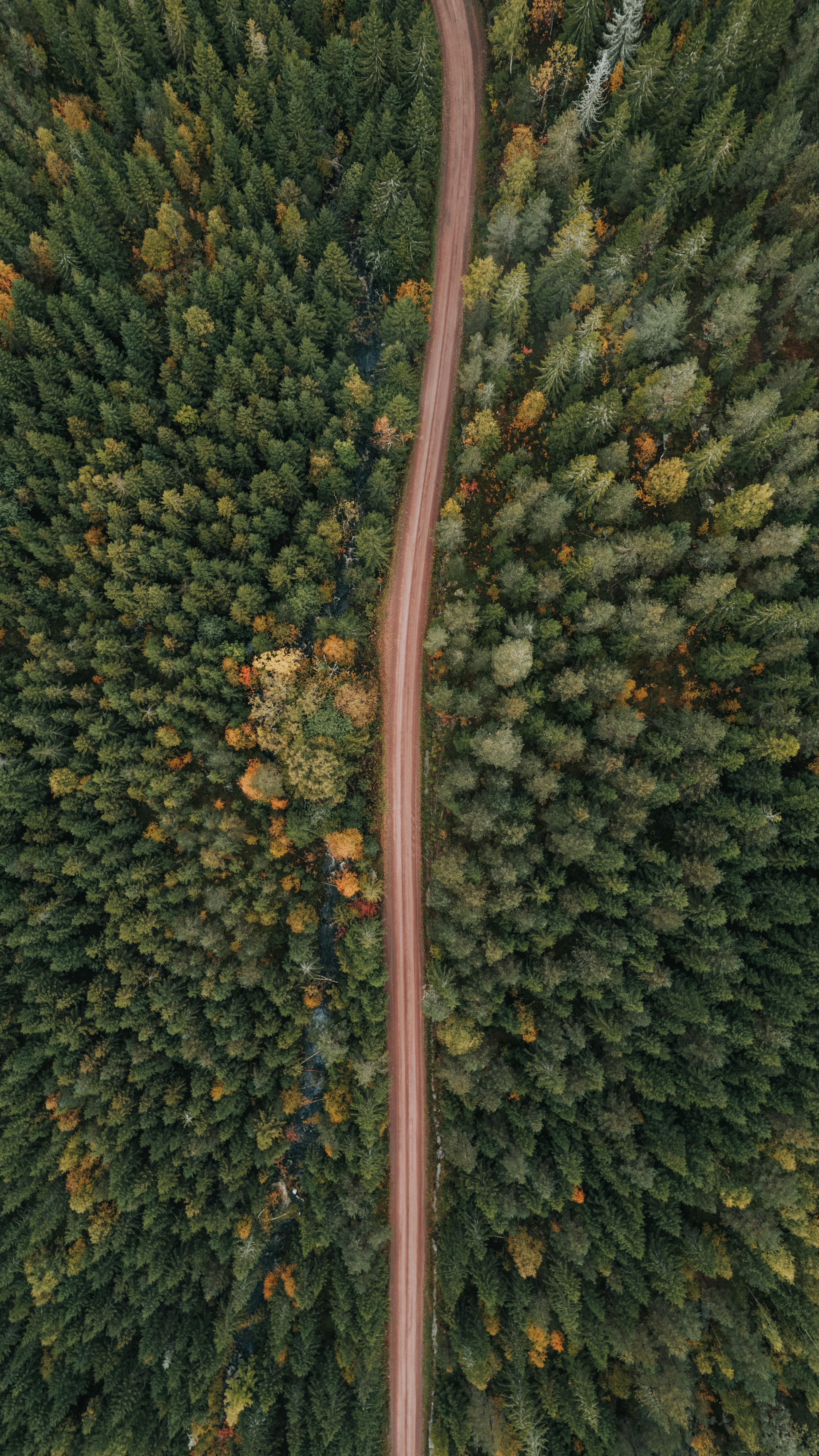 Wallpapers