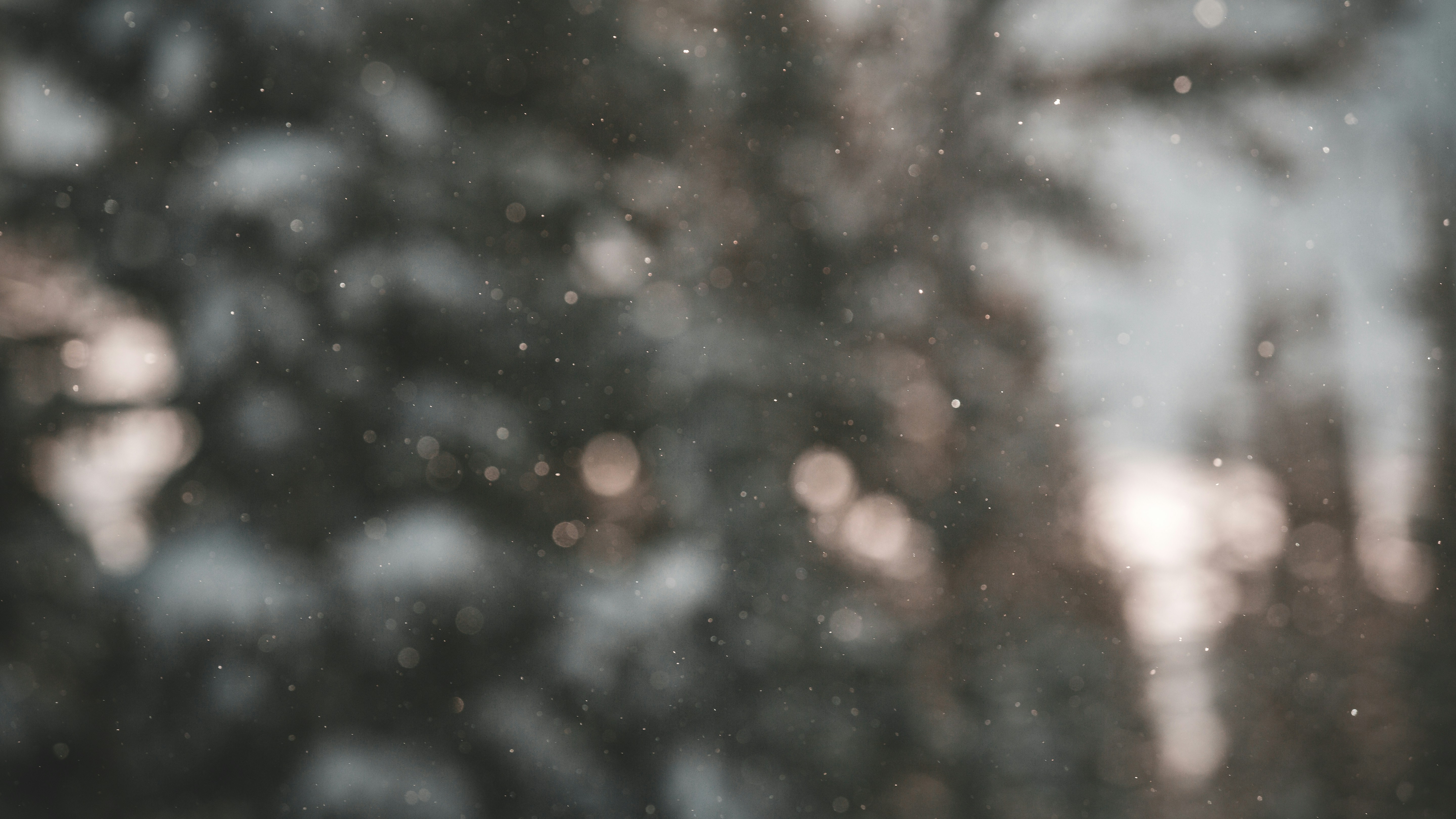 Blurred Bokeh Water Reflection