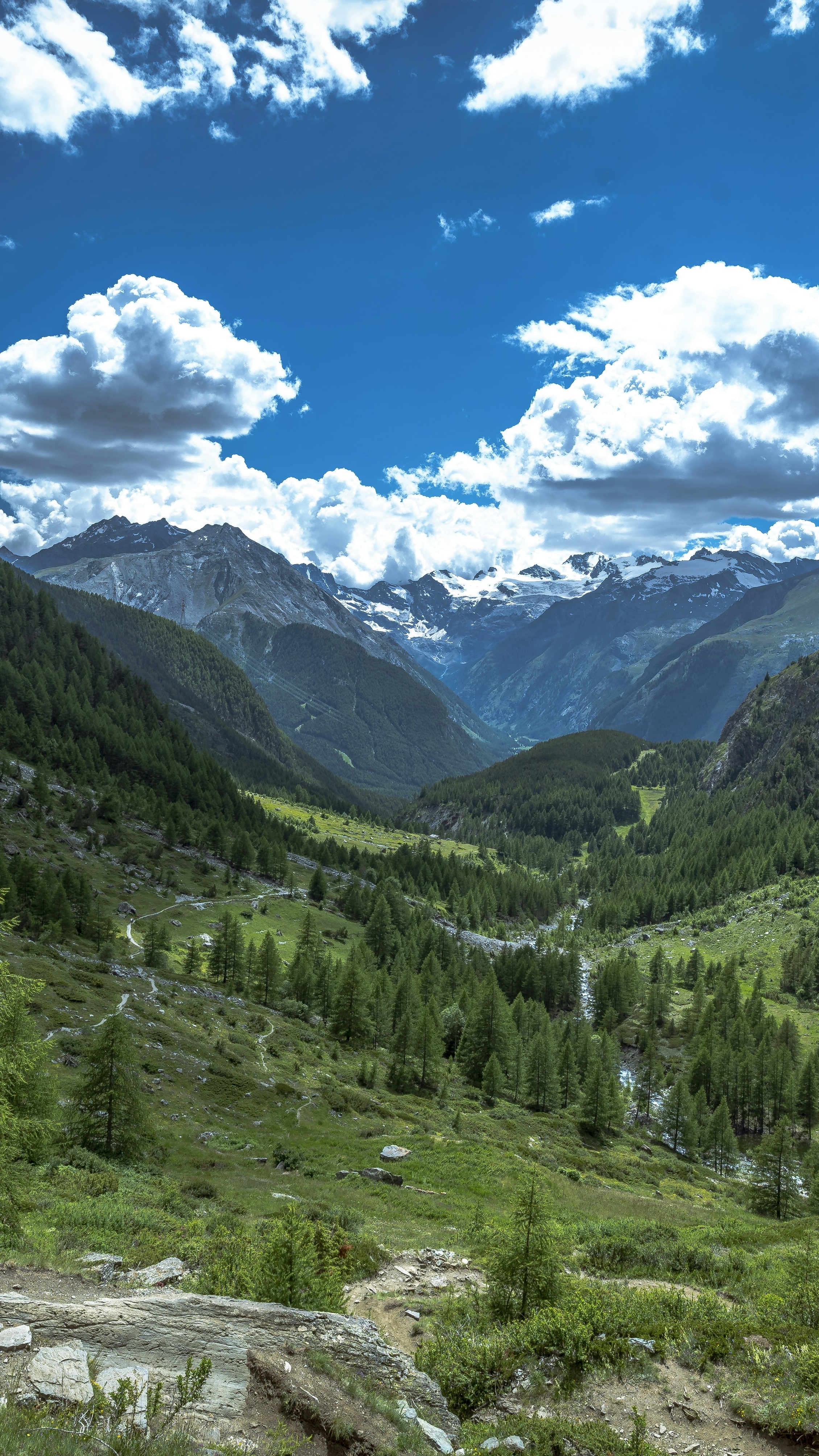 Landscapes