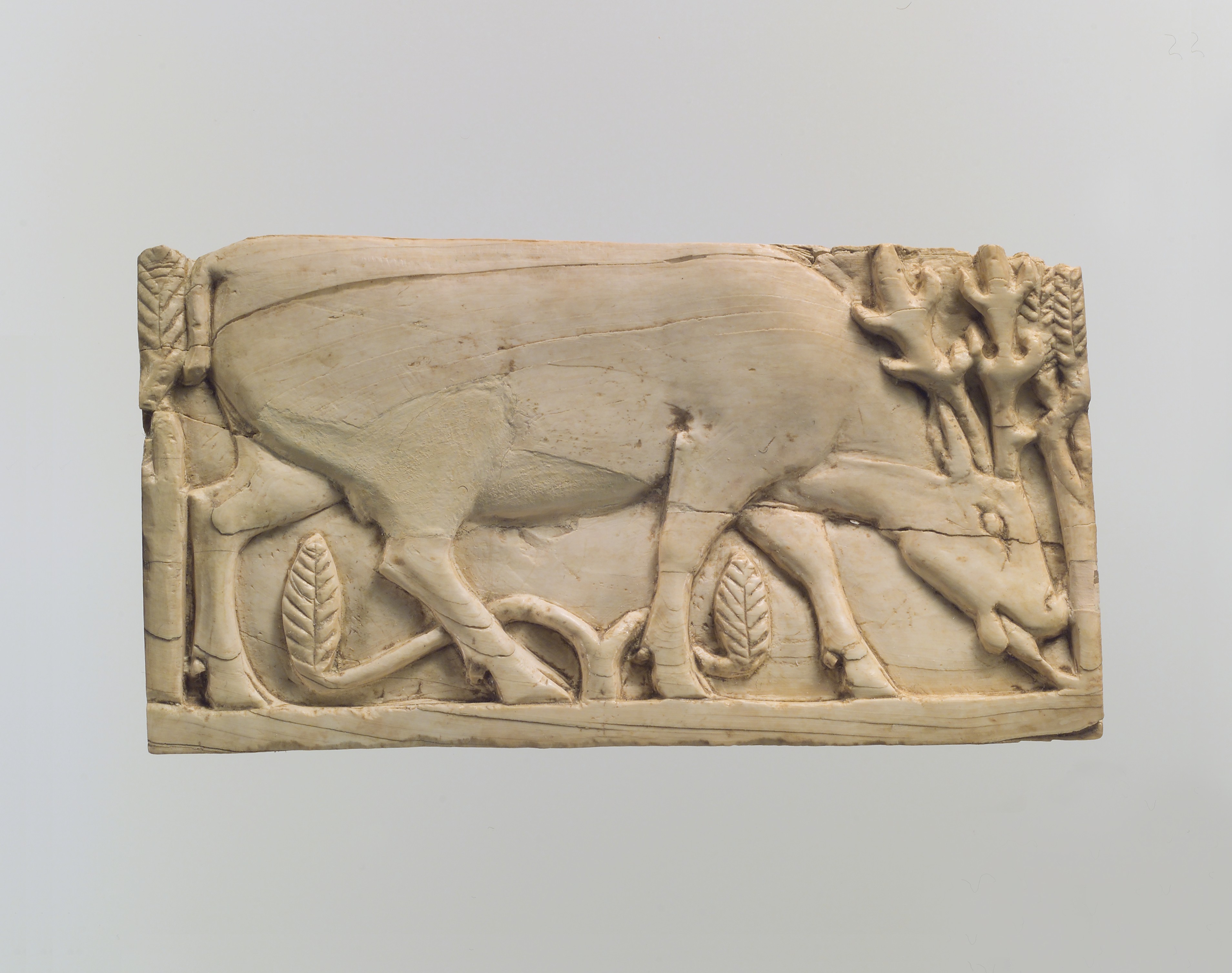 Carved Stag Ivory Relief Plaque