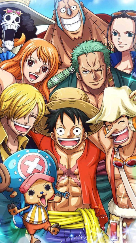 One Piece Straw Hat Crew Portrait