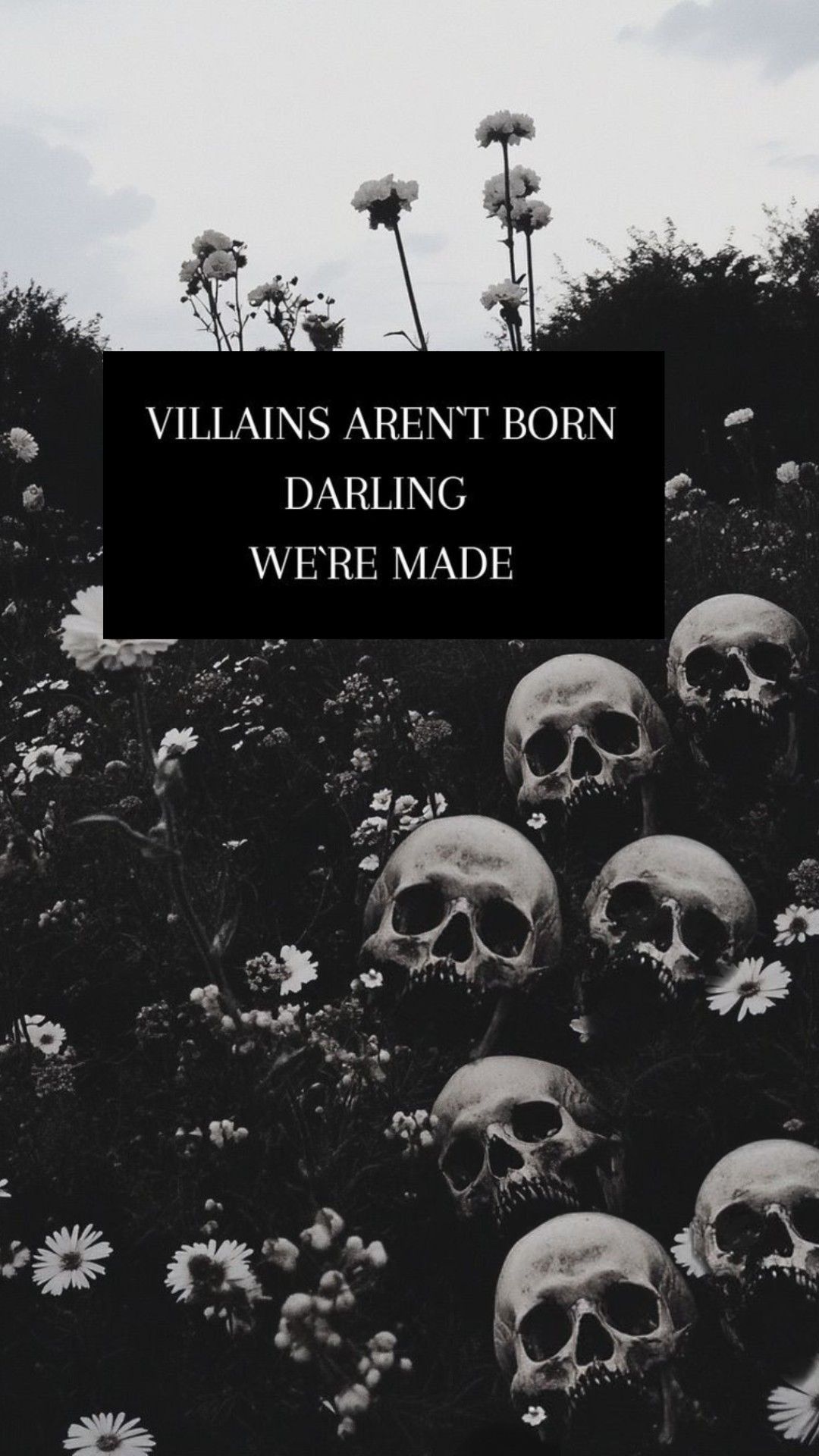 Wallpapers