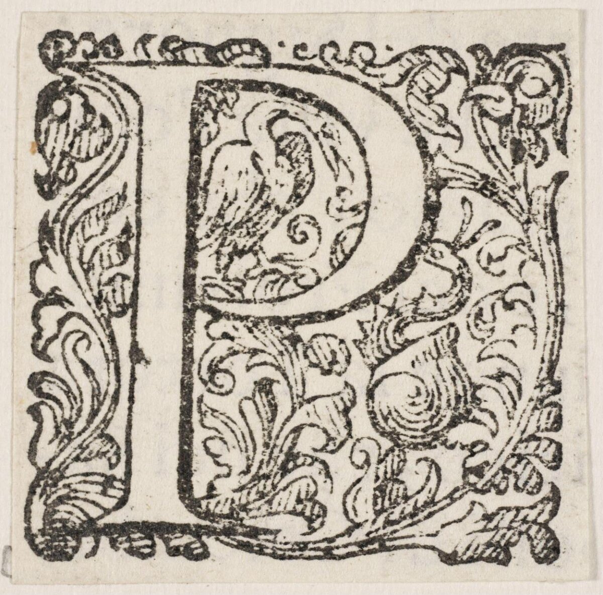 Ornate Woodcut Initial Letter P