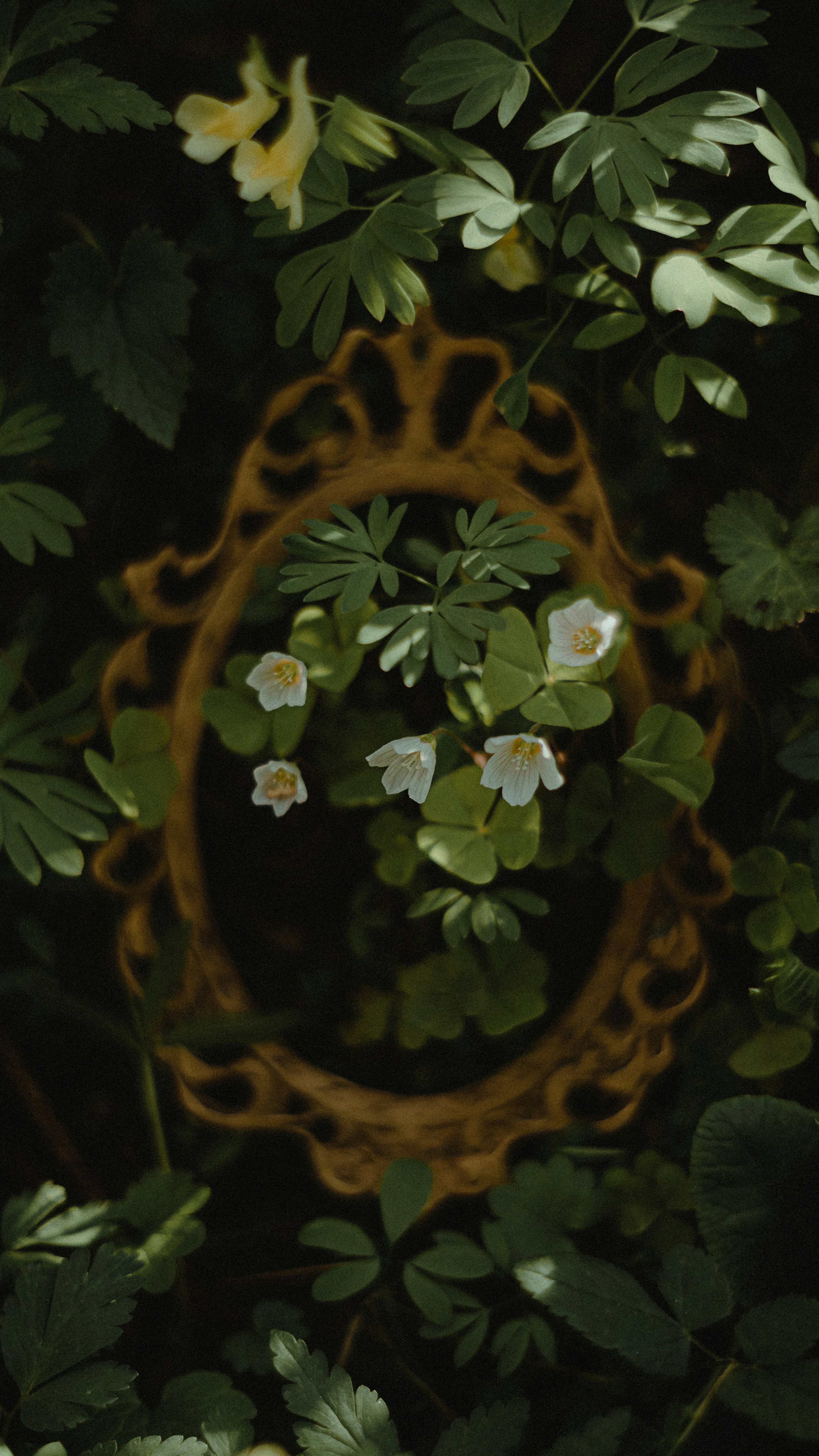Wallpapers
