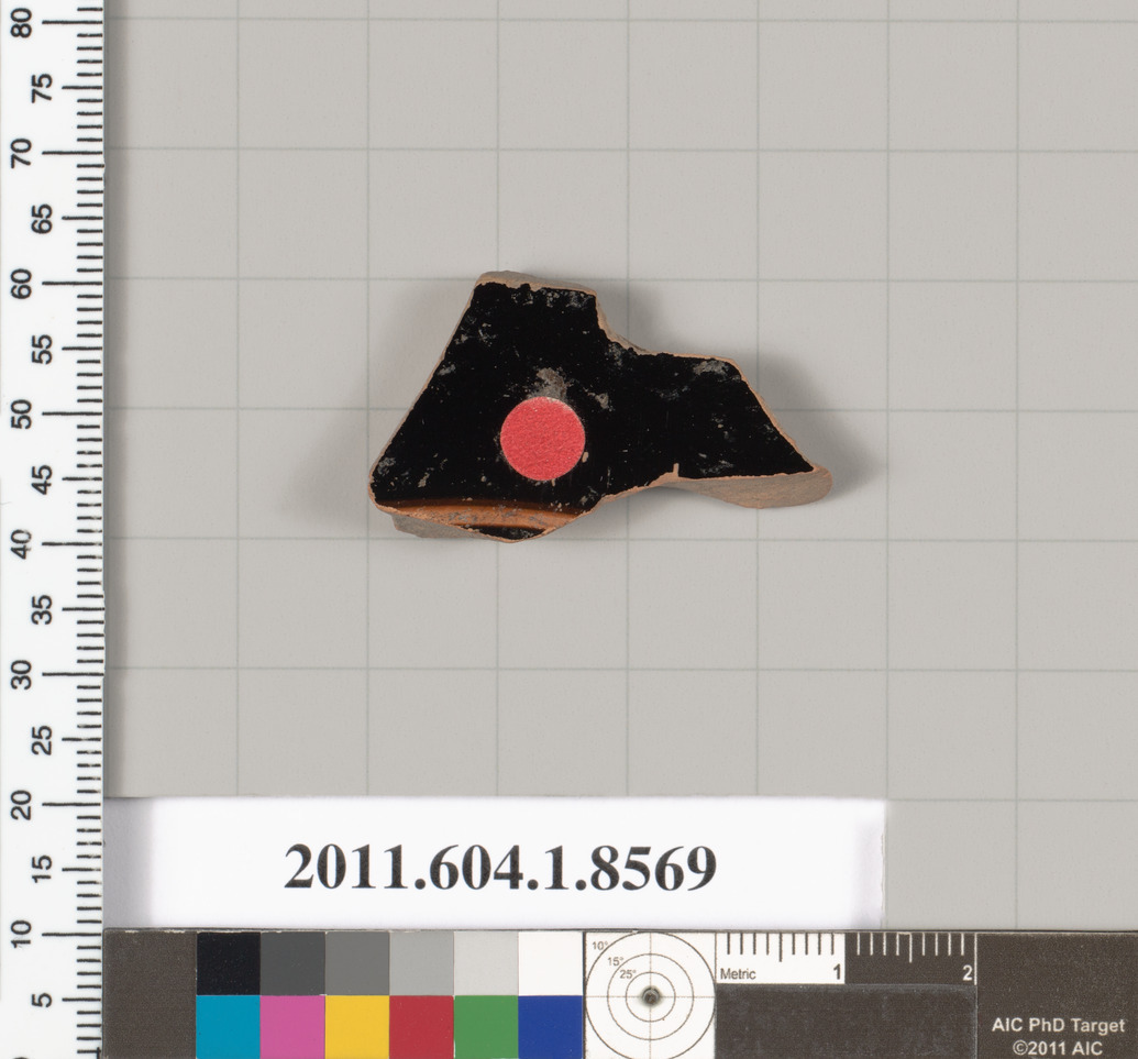 Archaeological Pottery Shard Specimen