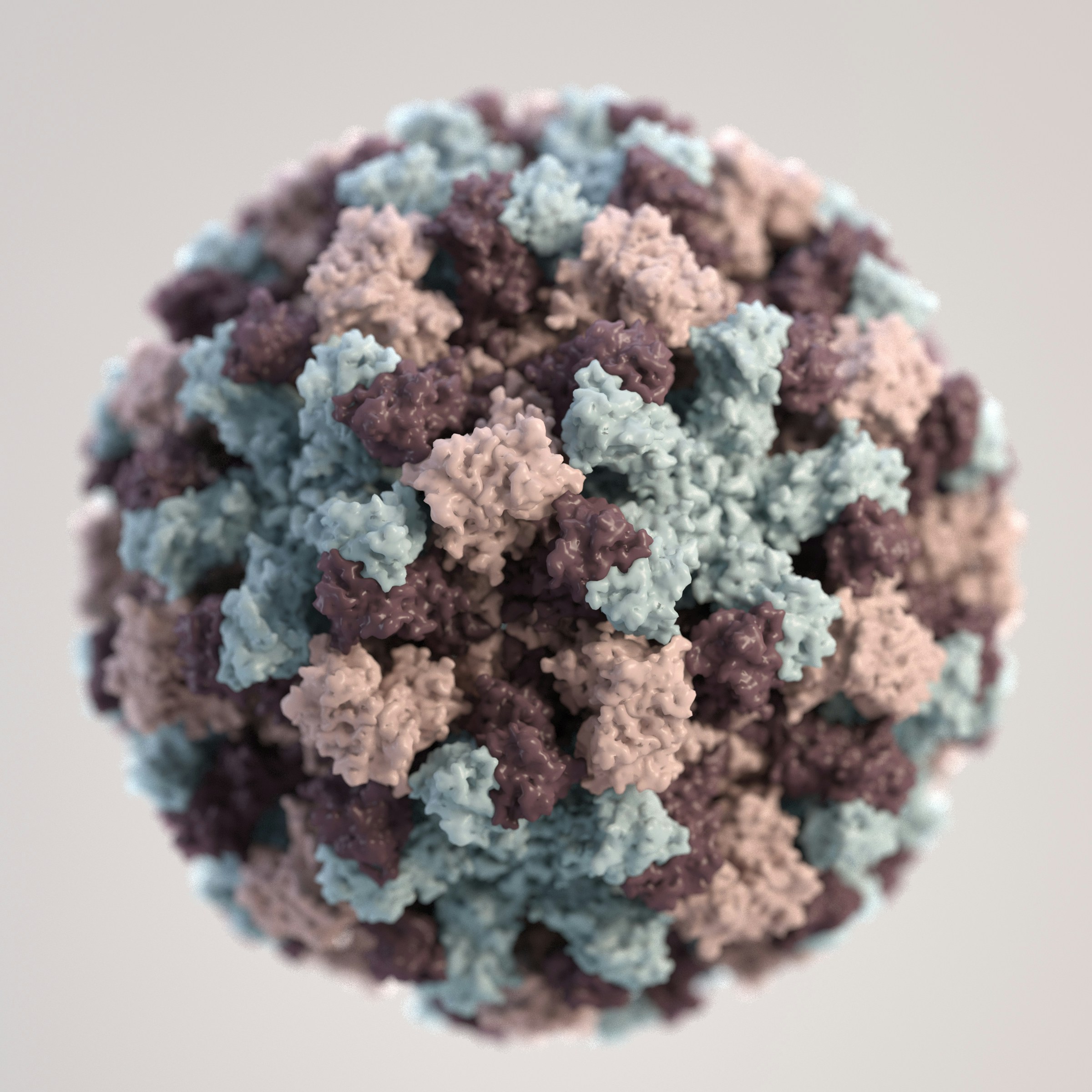3D Model of Virus Capsid