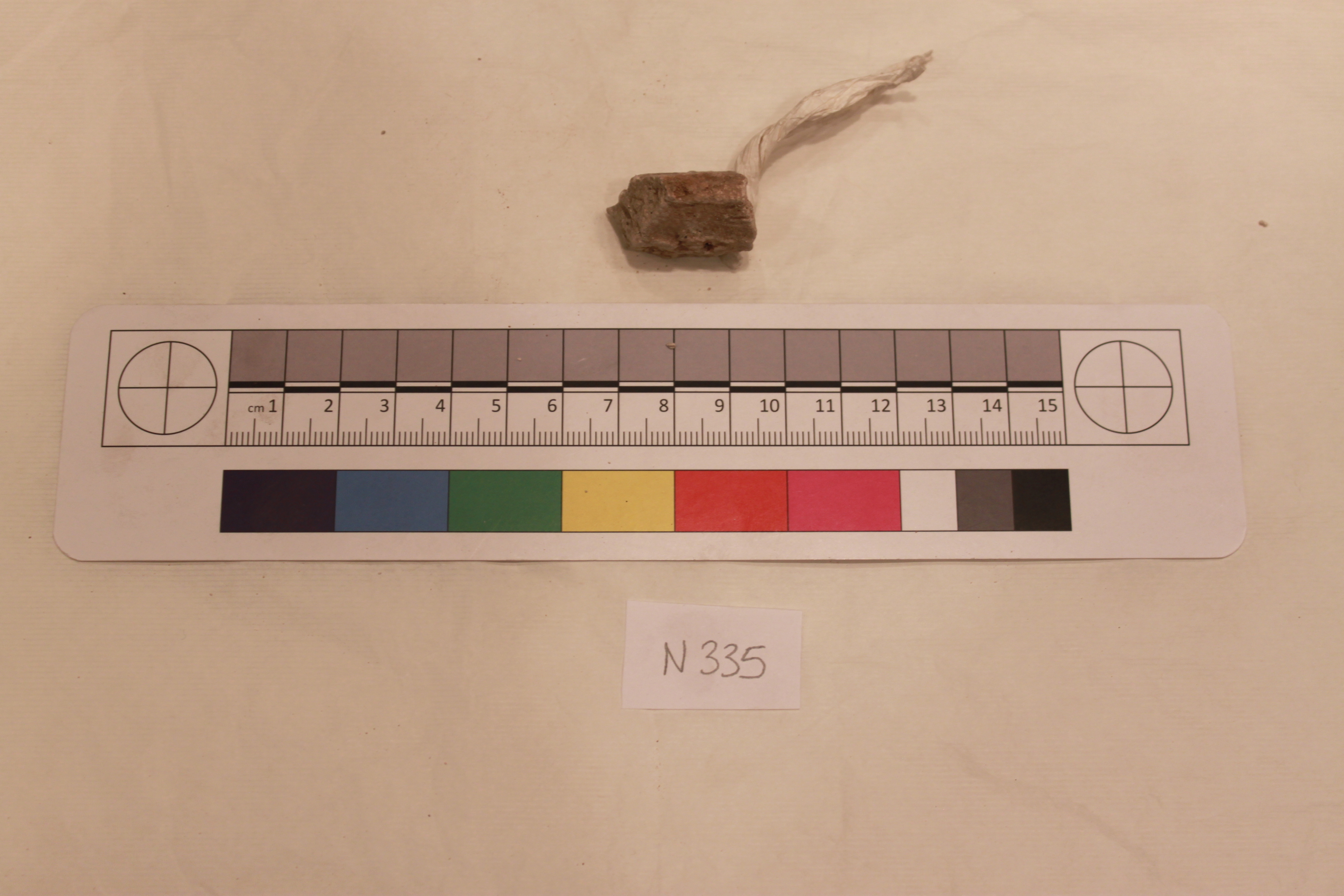 Archaeological Bone Sample N335