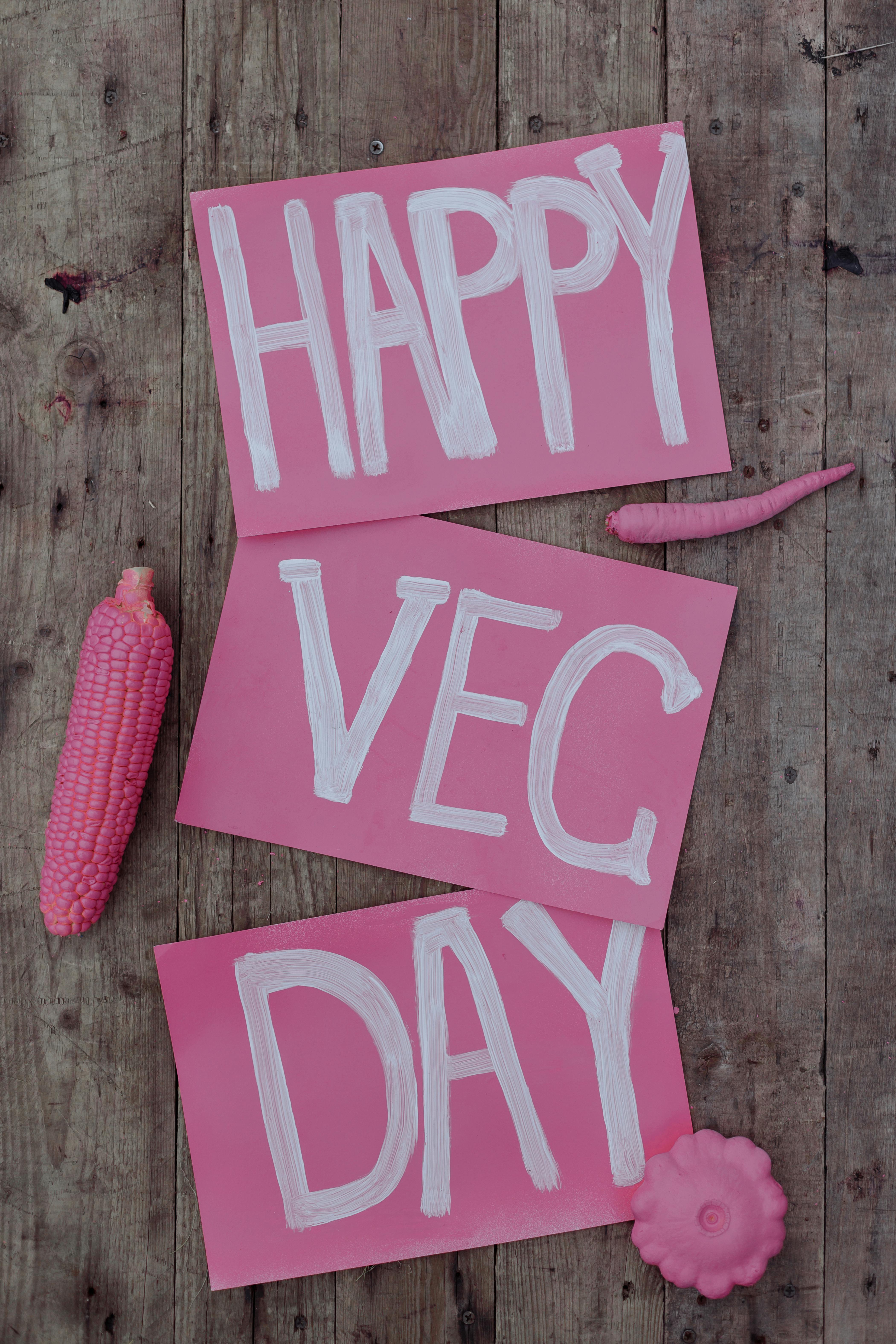 Happy Vec Day With Pink Vegetables