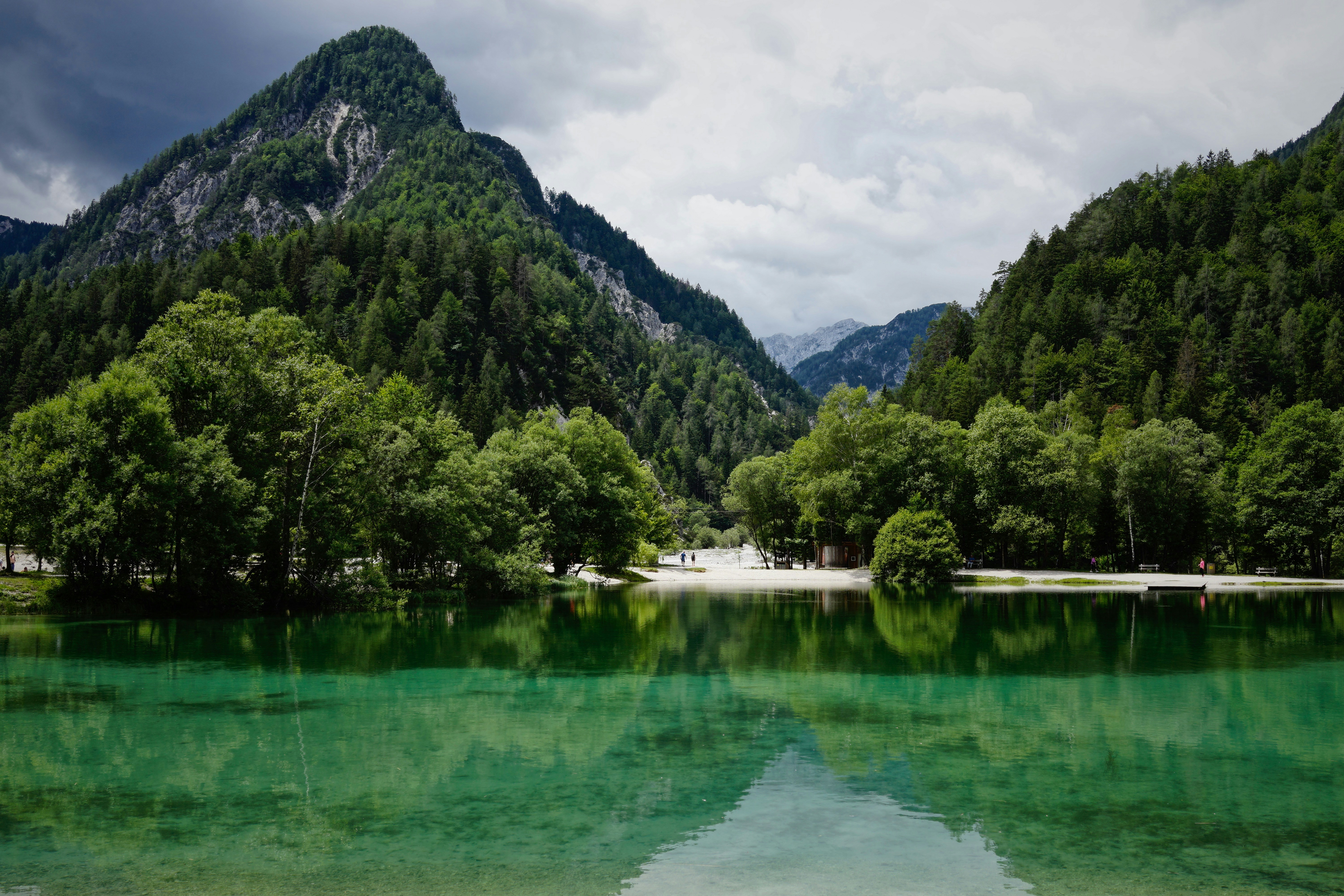 Mountain Forest Lake Landscape