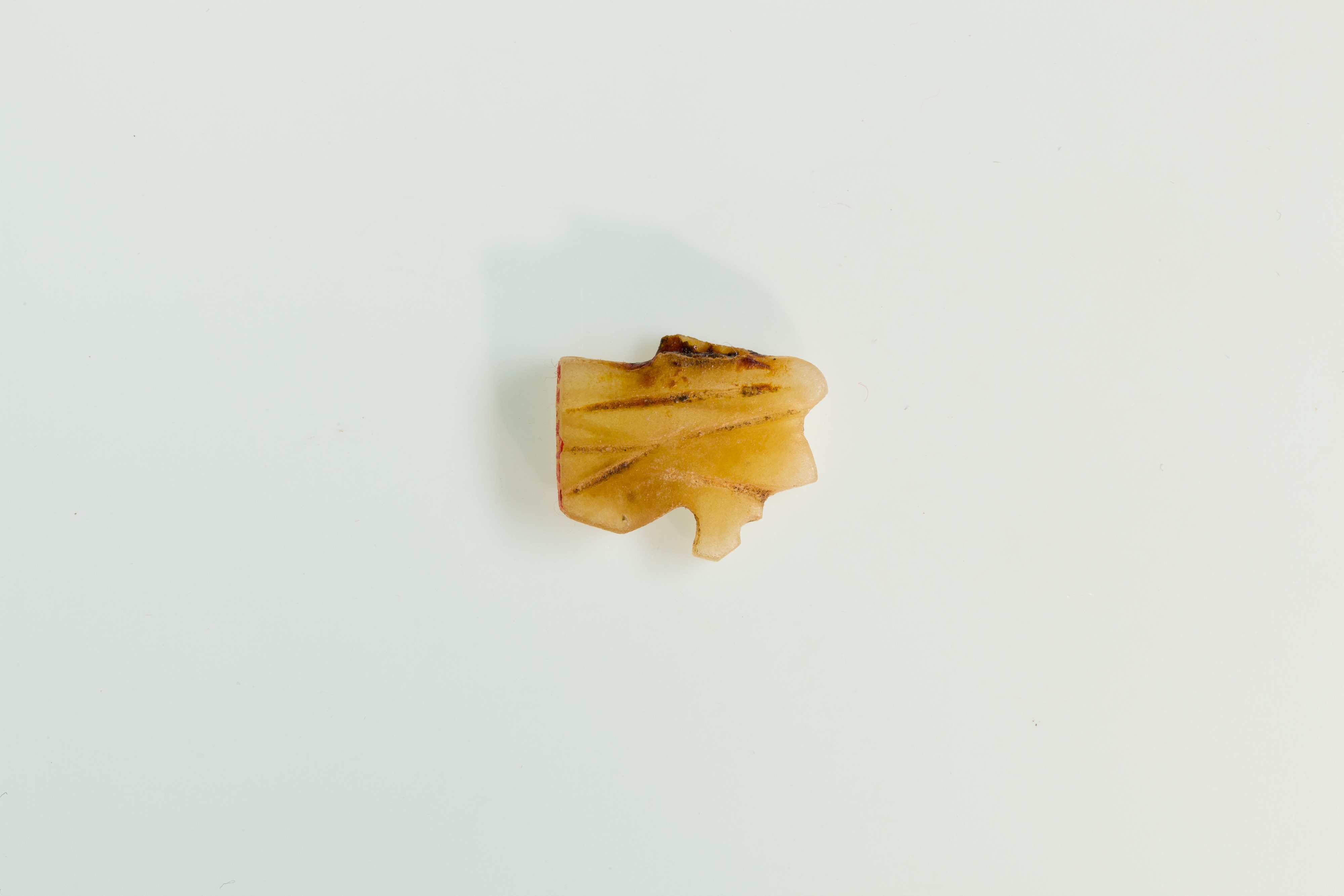 Ancient Carved Artifact Fragment