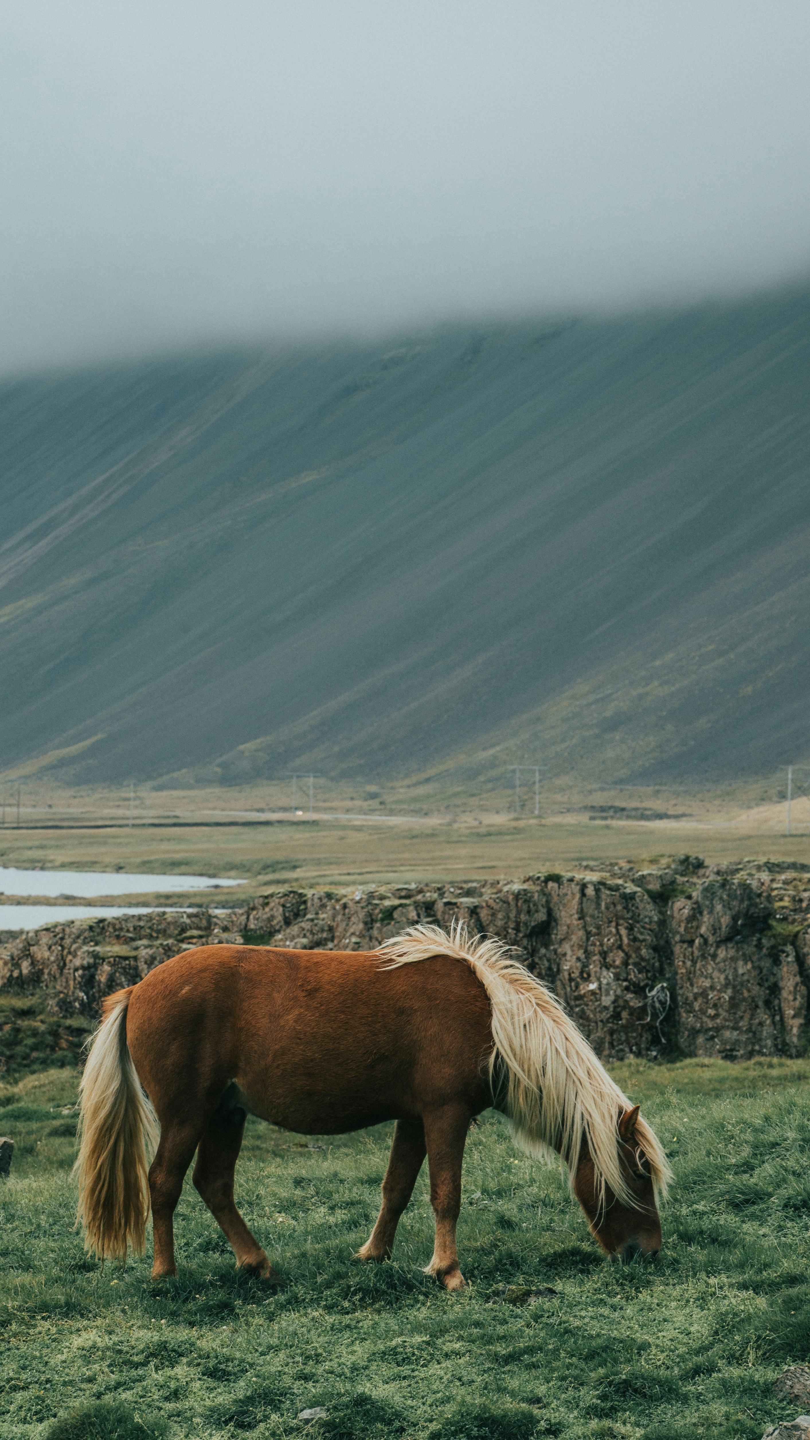 Wallpapers