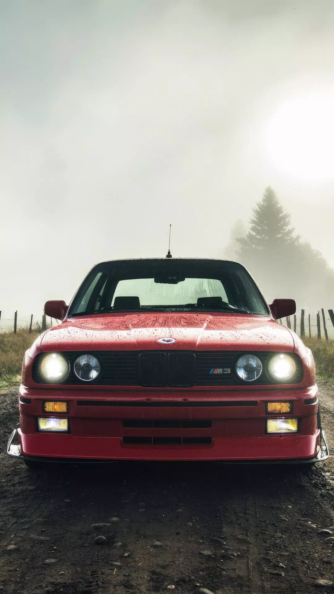 Wallpapers