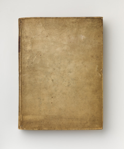 Antique Vellum Book Cover