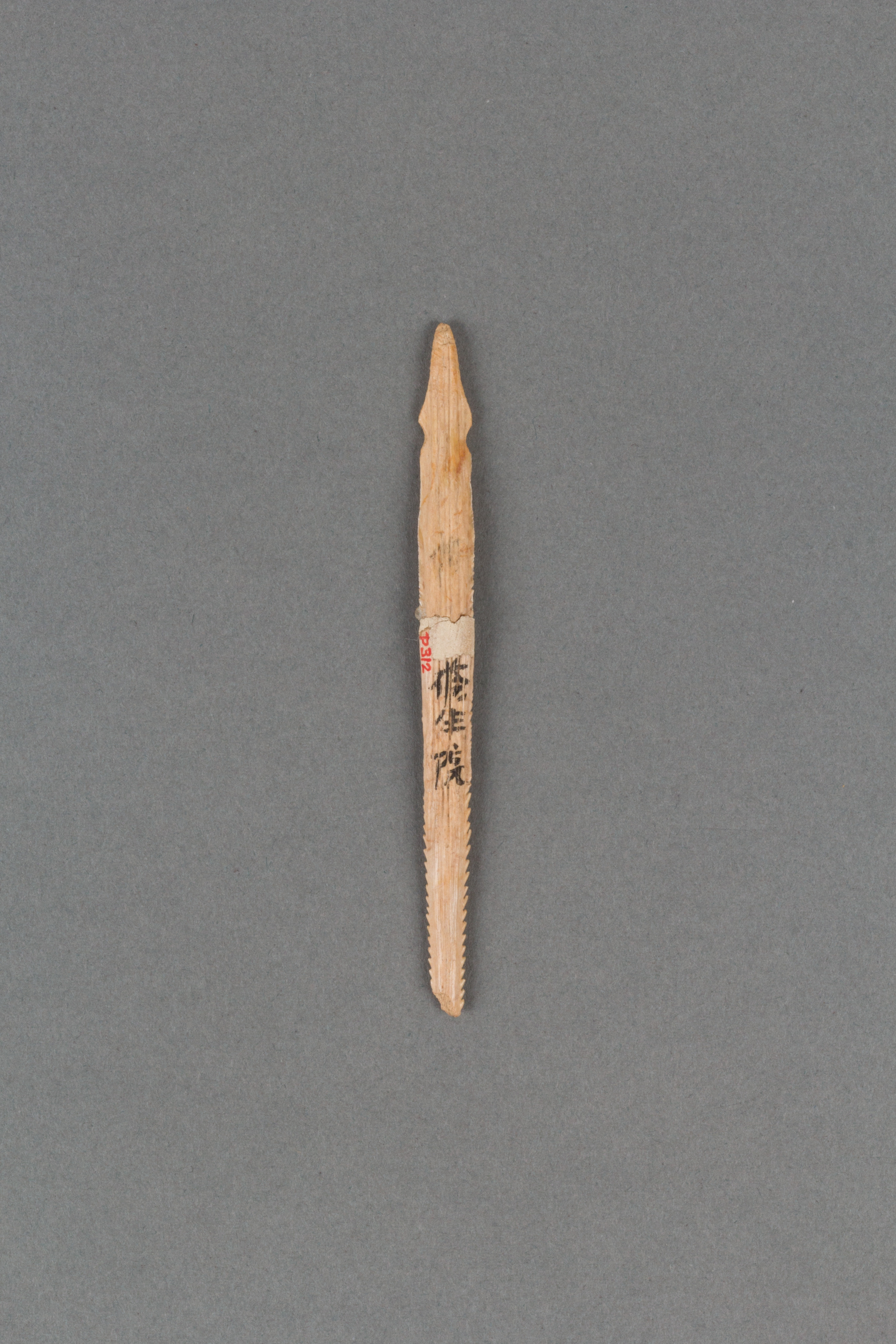 Ancient Inscribed Bone Saw Artifact