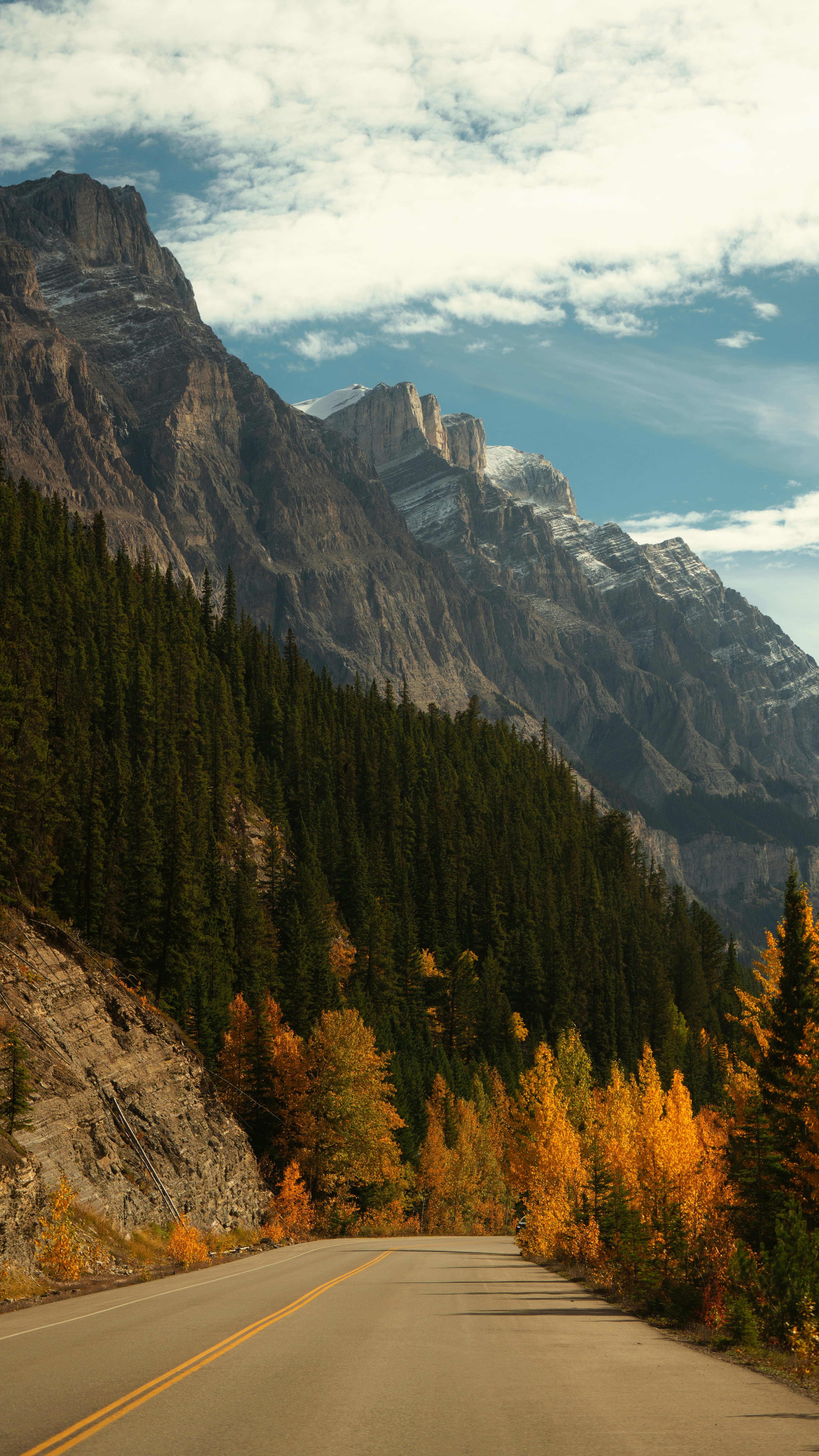 Autumn Mountain Road Landscape