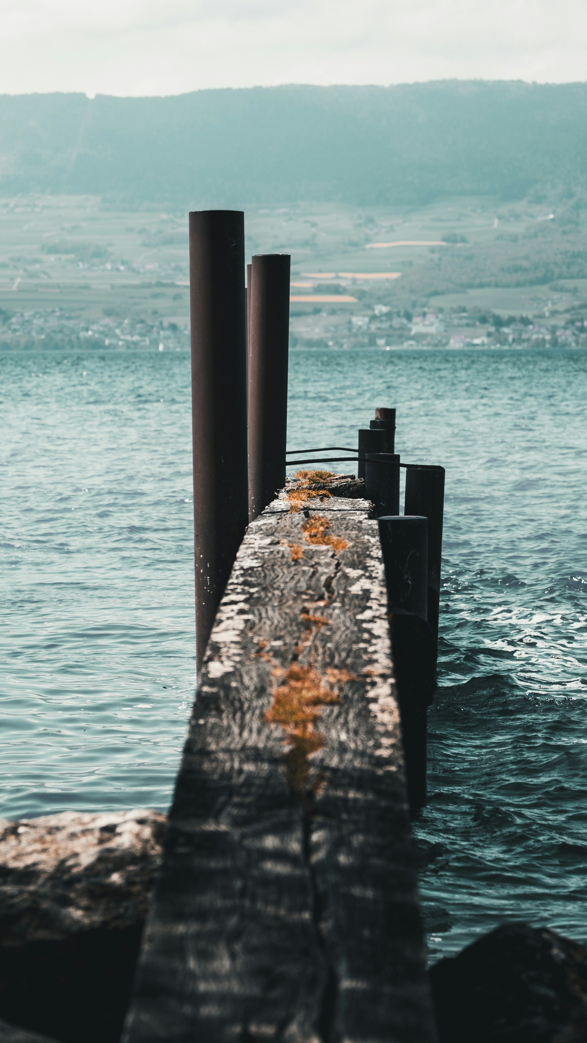 Wallpapers