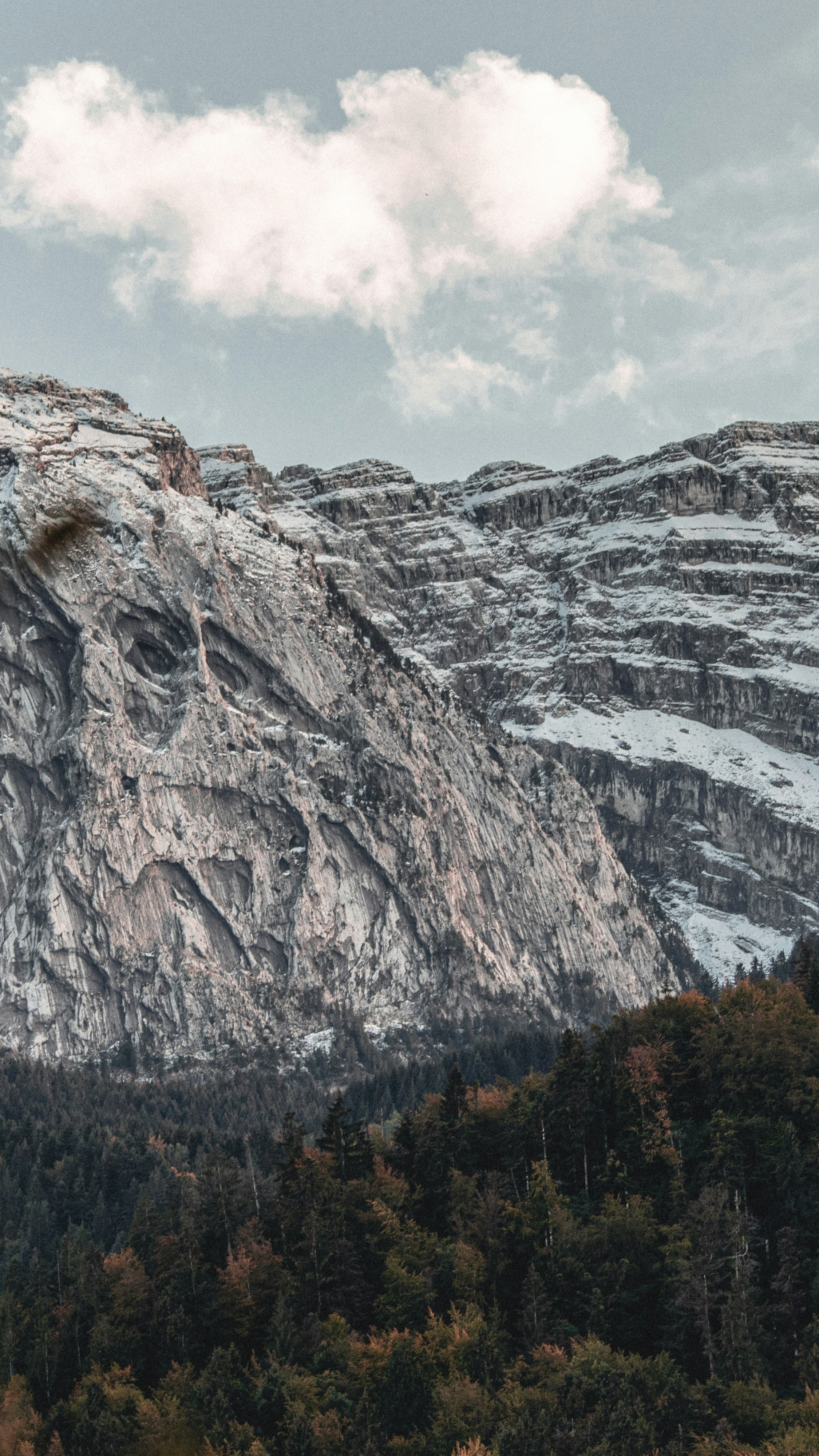 Snow-Dusted Mountains and Autumn Forest