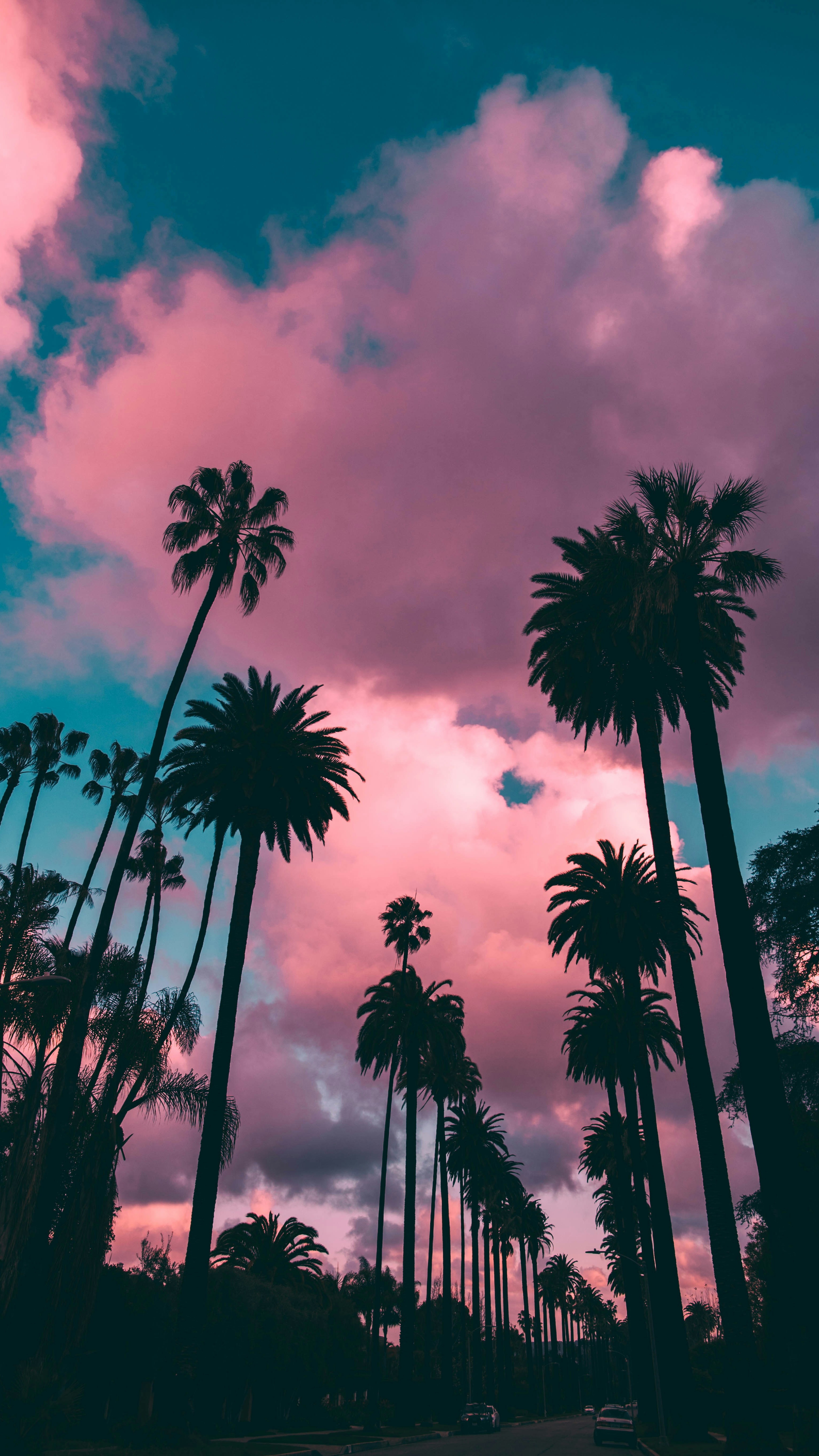 Wallpapers