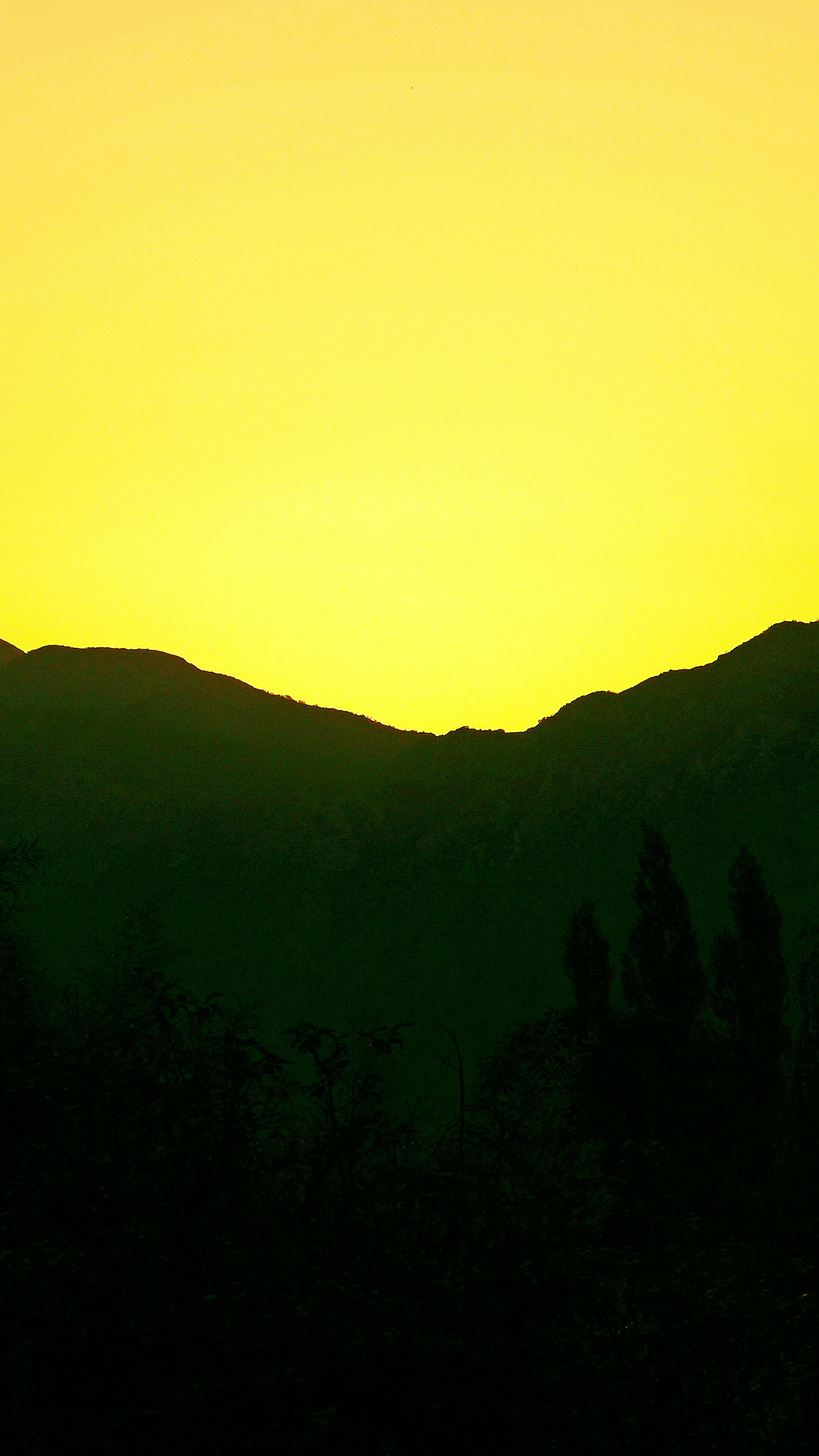 Landscapes