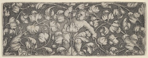 Putto Among Scrolling Foliage Engraving