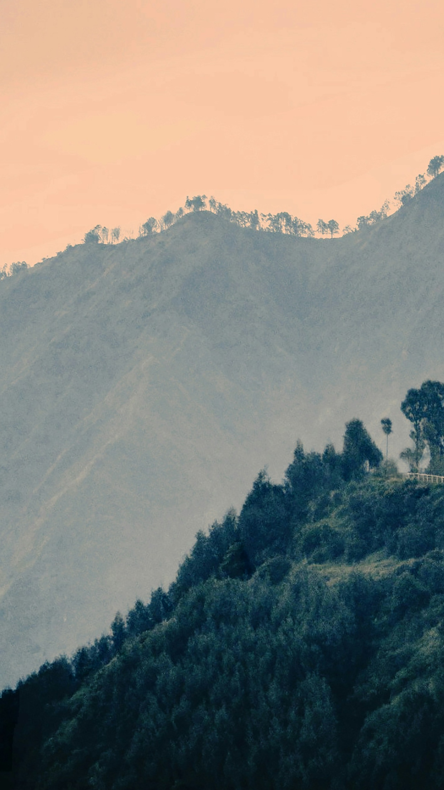 Landscapes