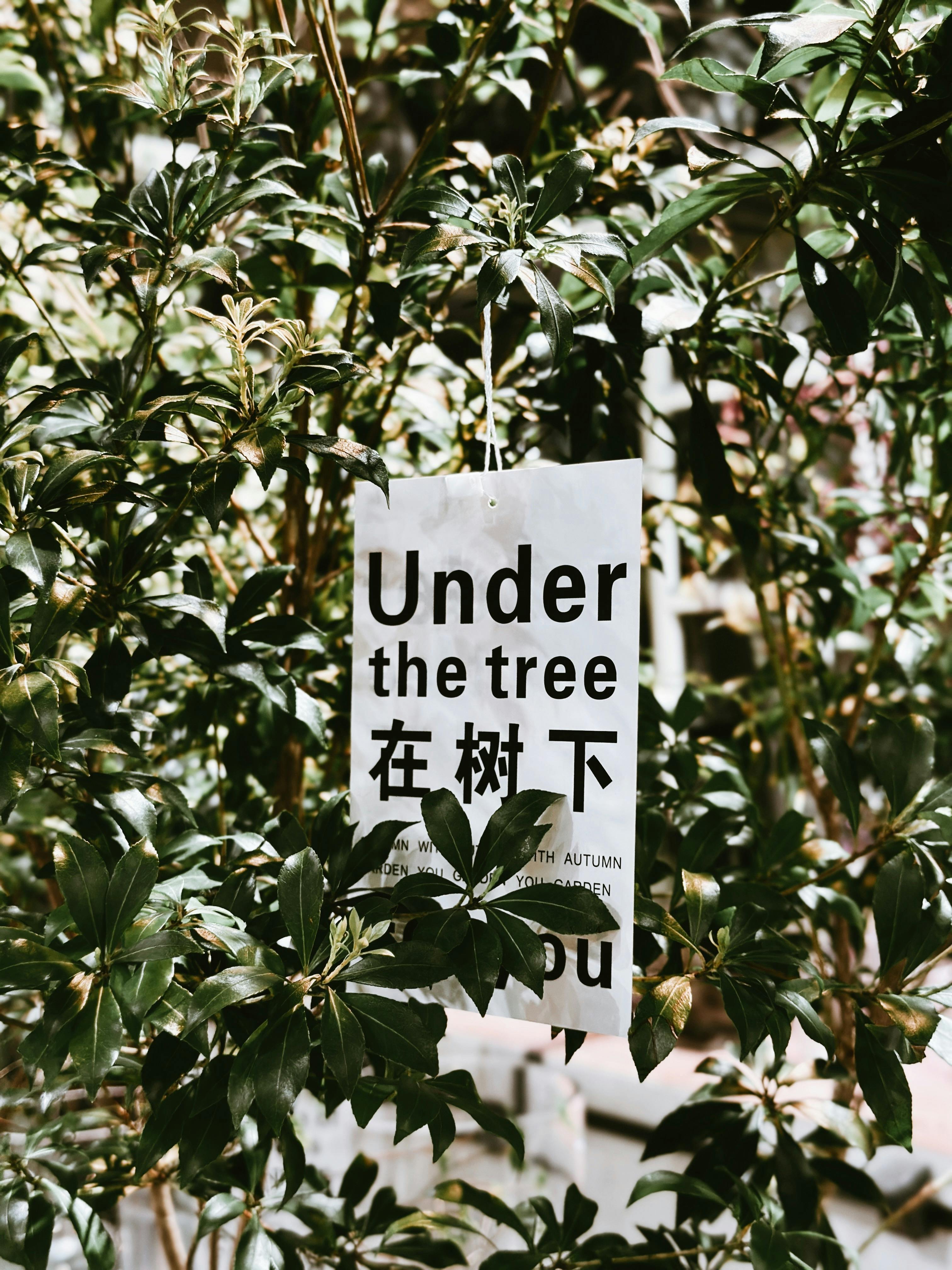 Under the Tree Sign in Green Foliage