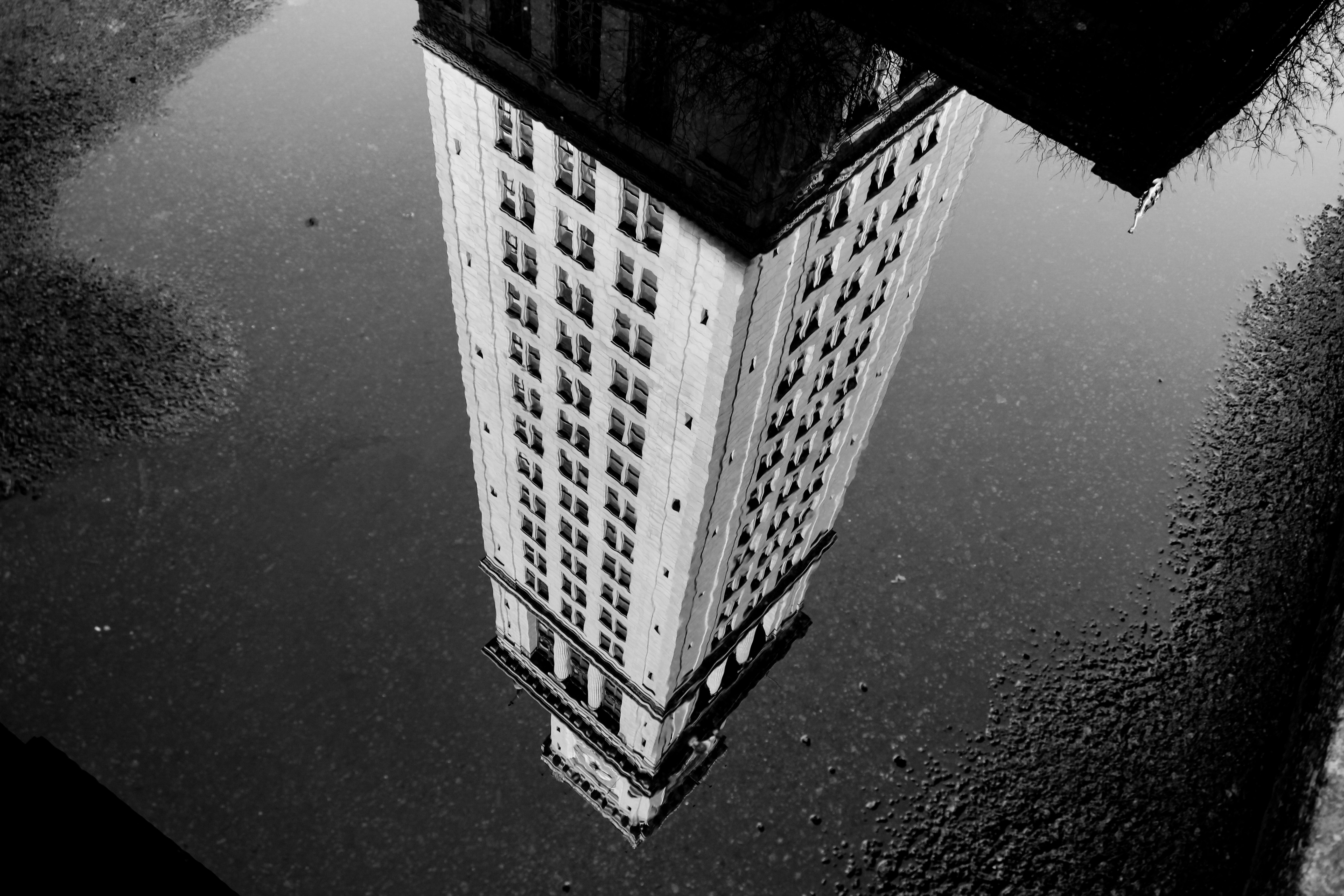 Skyscraper Reflection in Puddle