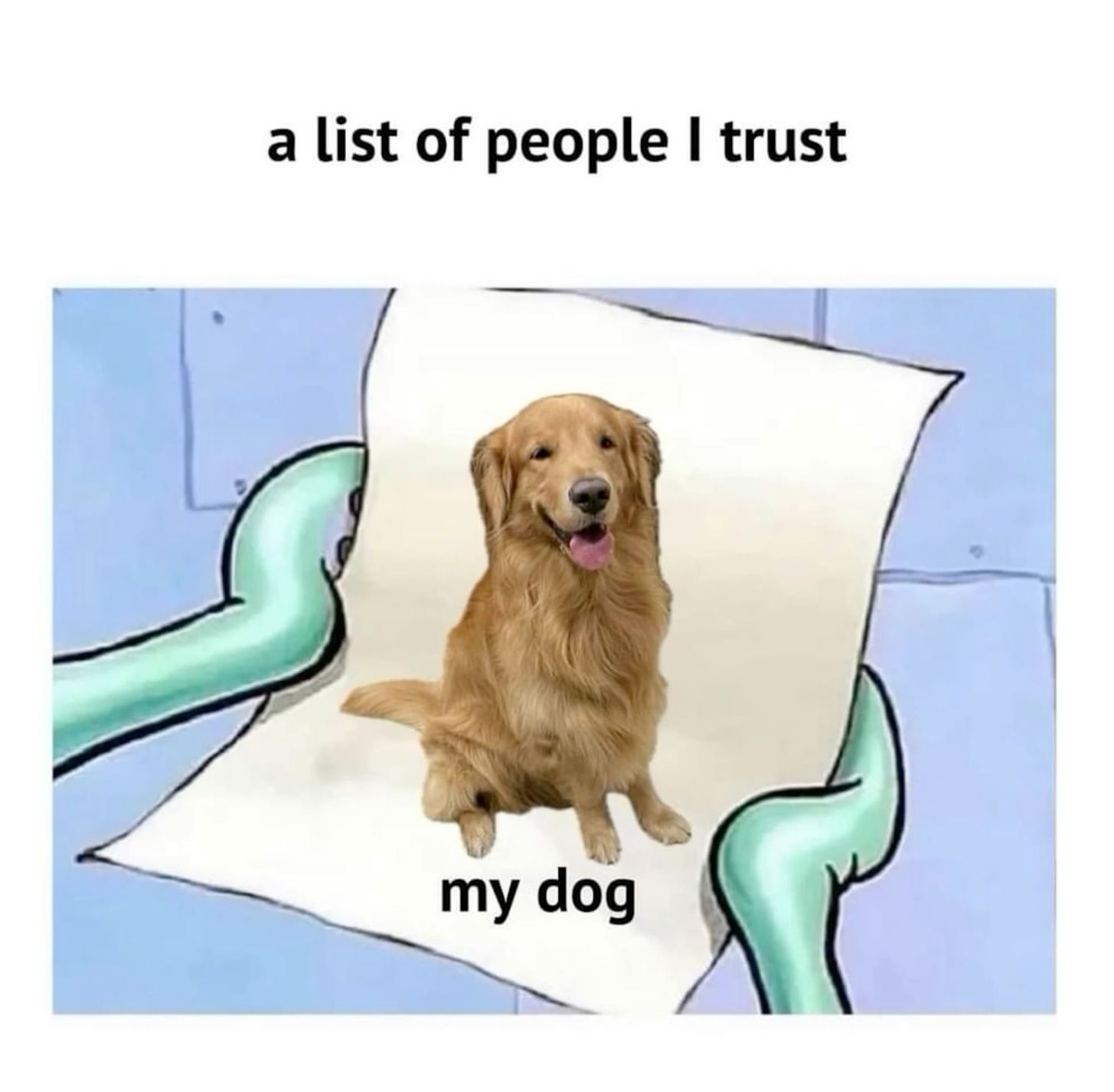 A List Of People I Trust Meme