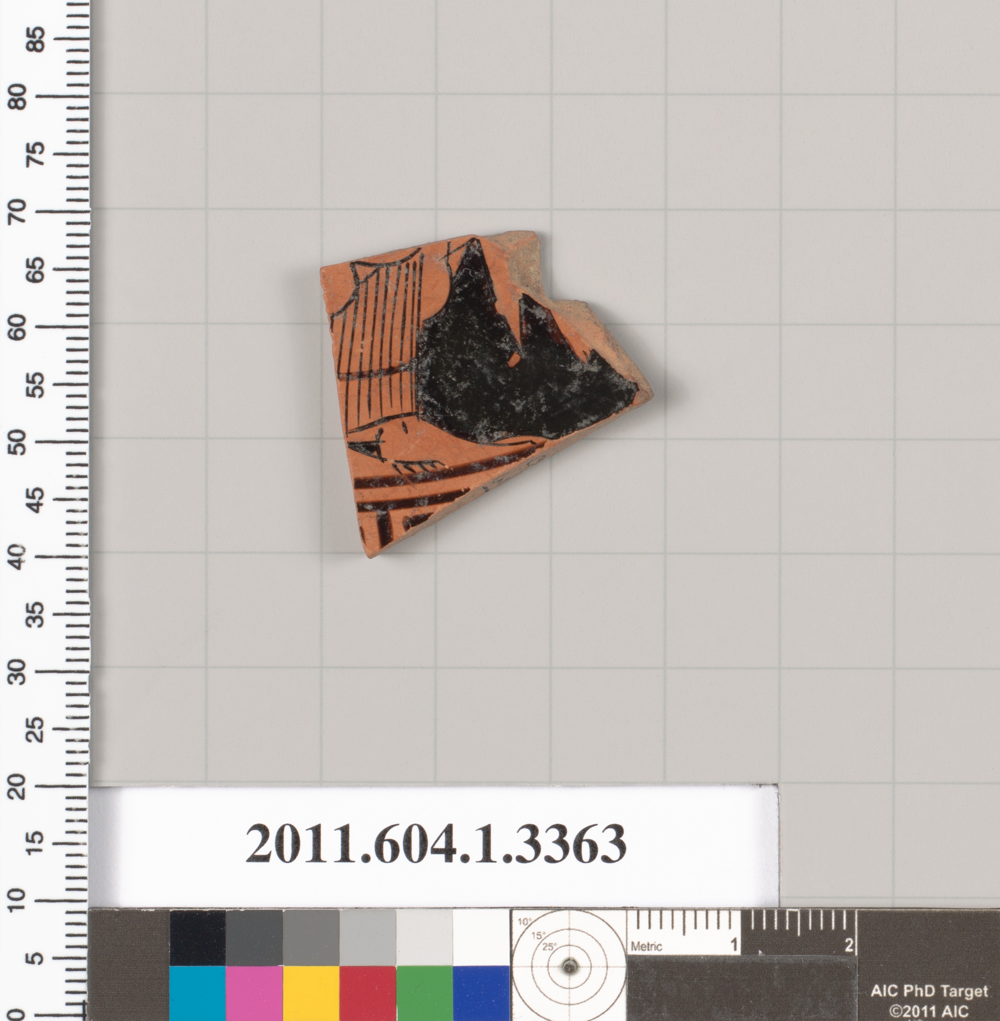 Cataloged Ancient Pottery Fragment