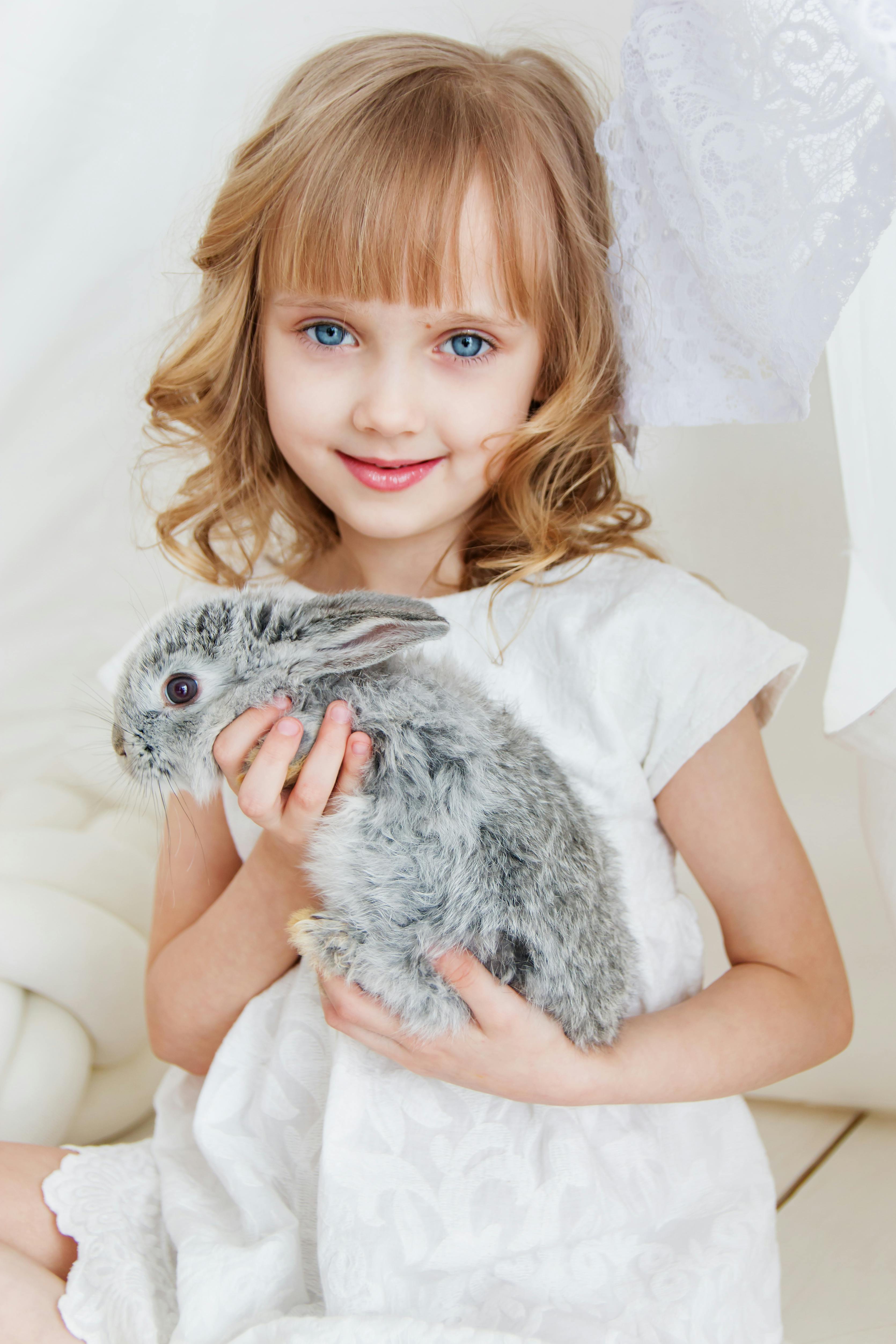 Little Girl Holding A Gray Rabbit