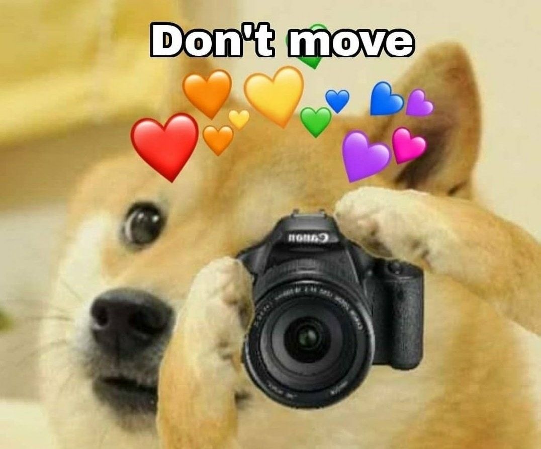 Dog Pretending to Take a Photo