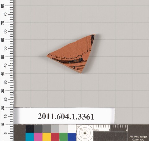 Pottery Fragment Archaeological Specimen