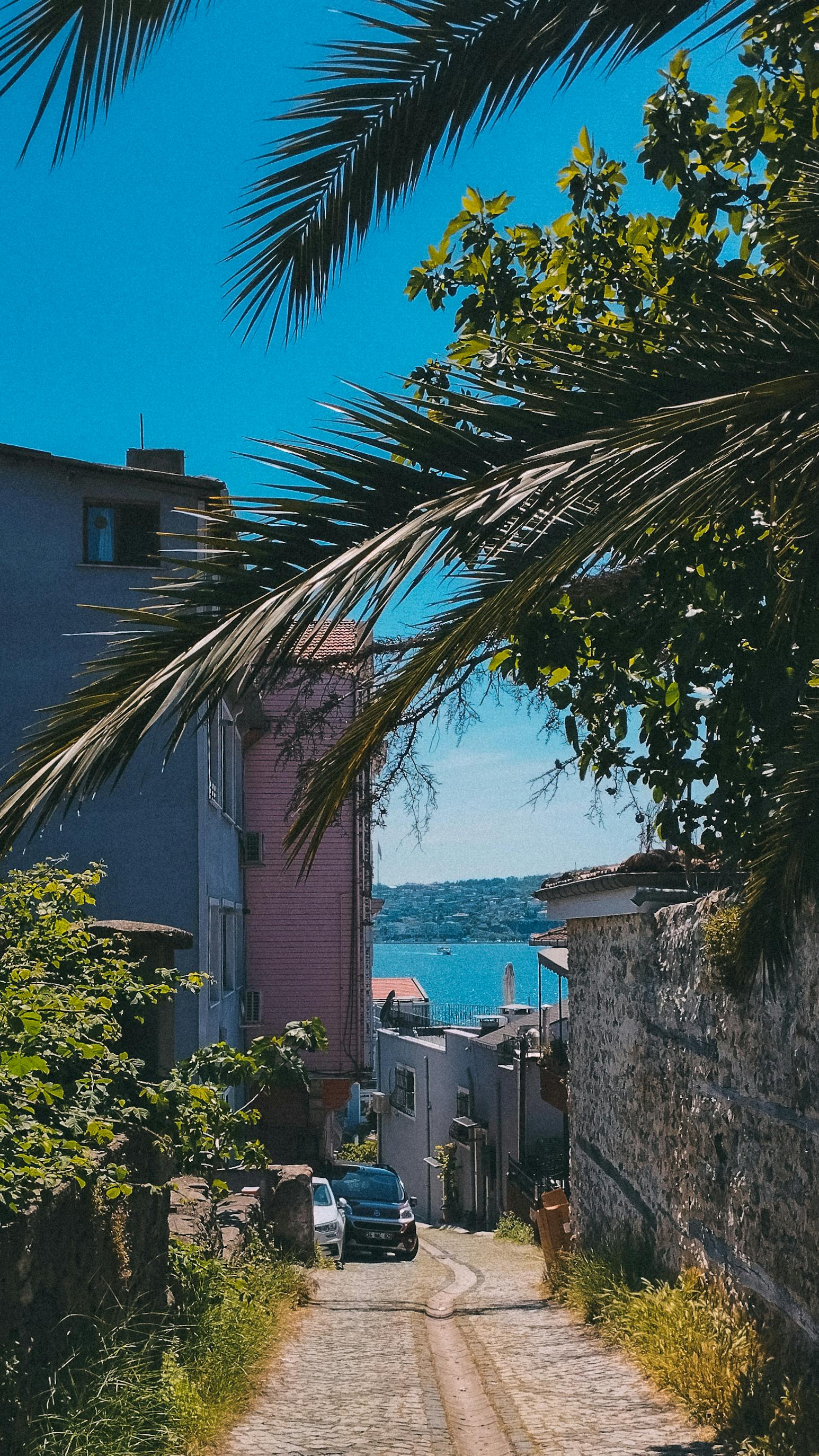 Wallpapers