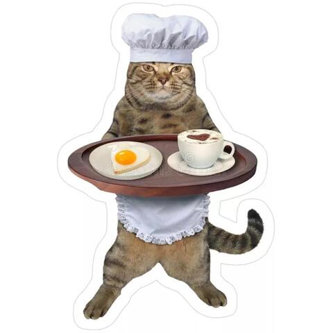 Chef Cat Serving Breakfast
