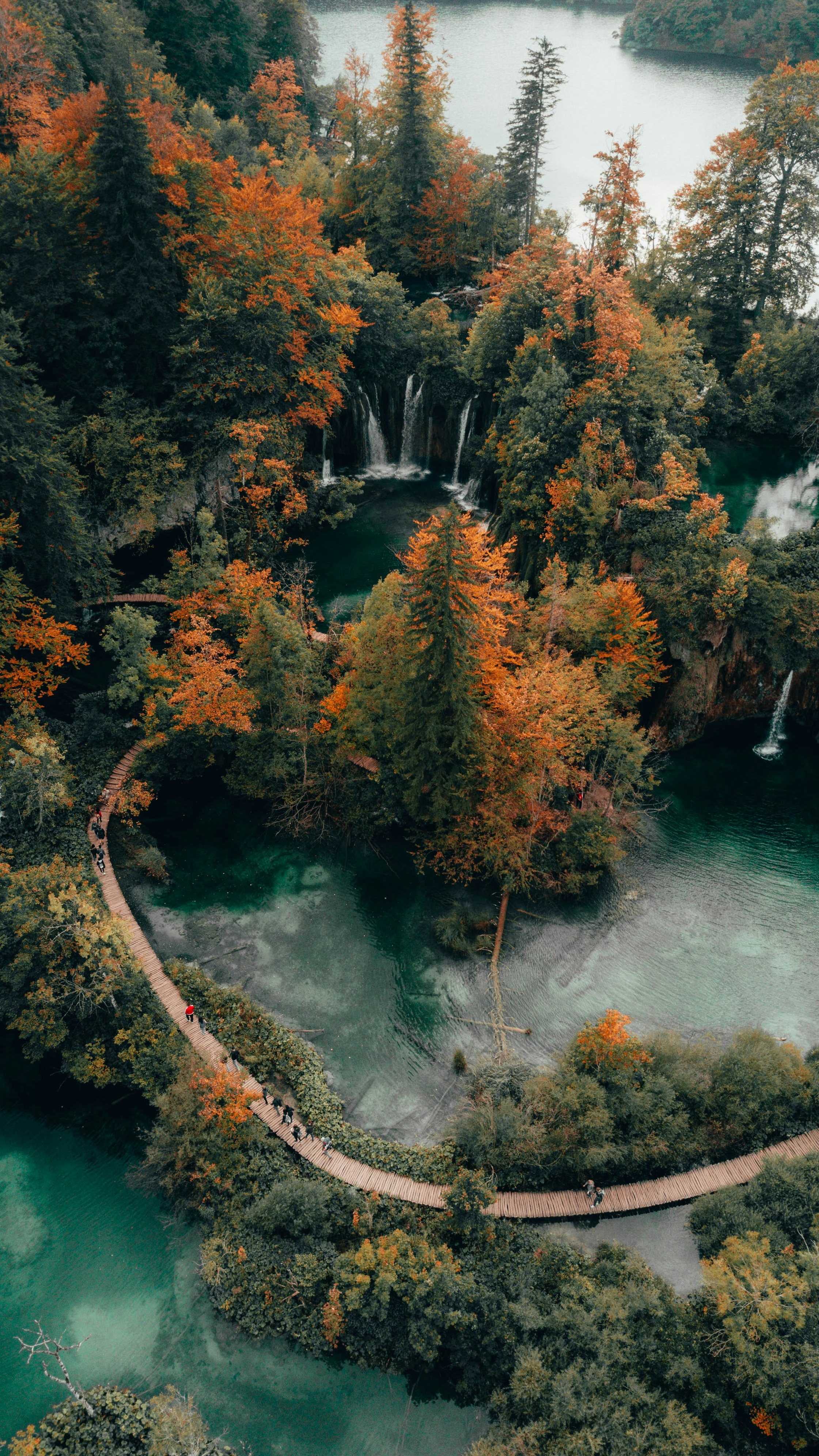 Wallpapers