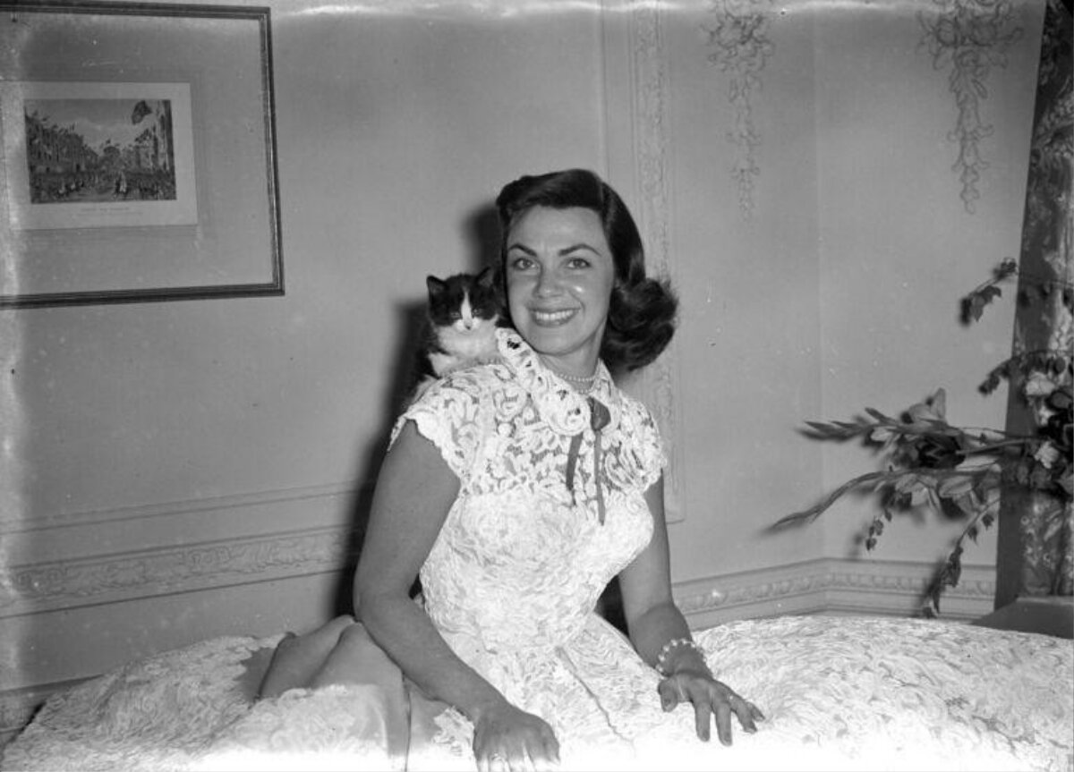 Woman With Kitten On Shoulder