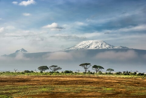 Mount Kilimanjaro over African Savanna