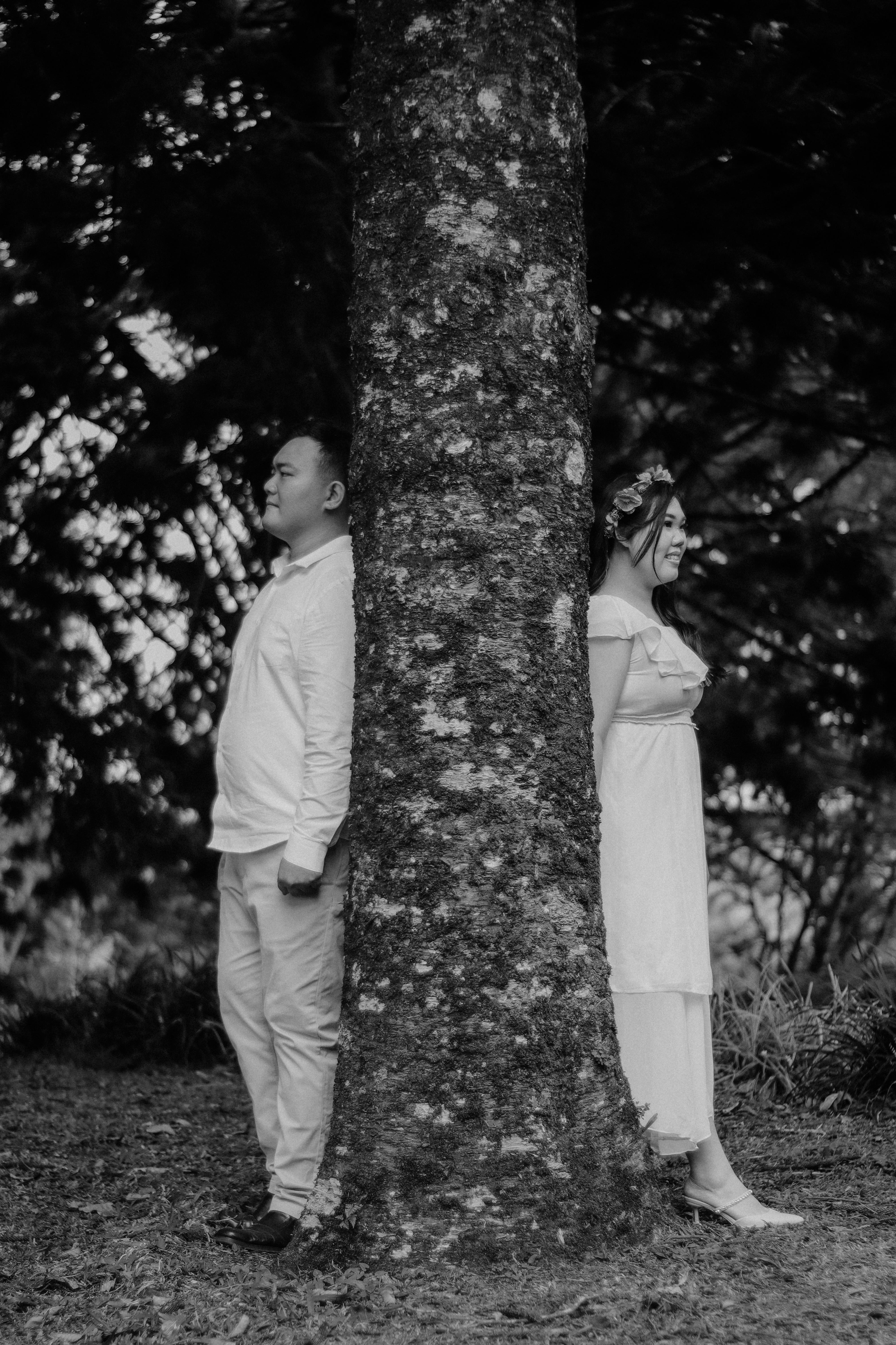 Couple on Either Side of a Tree Trunk