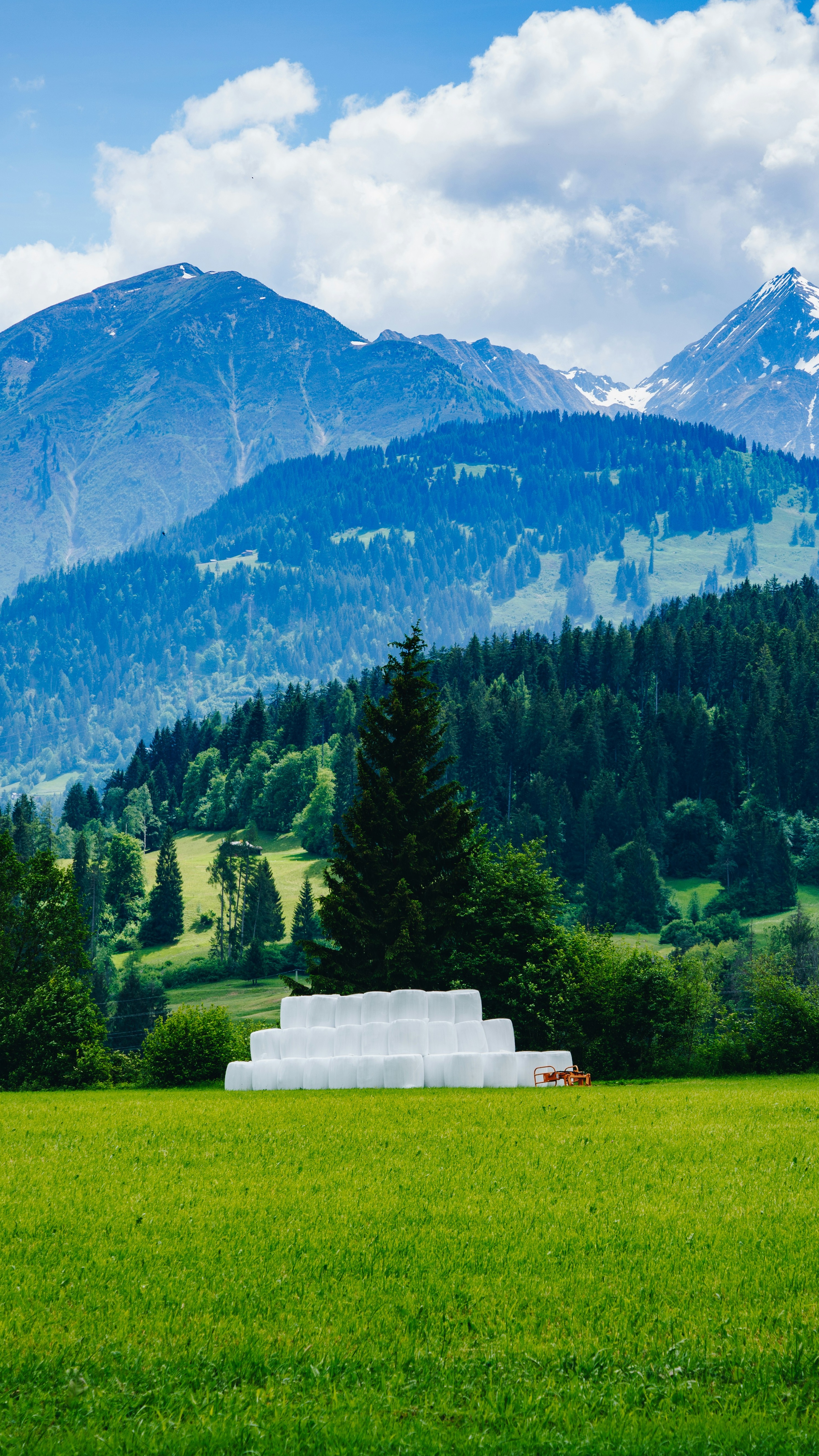 Alpine Meadow Mountain Landscape