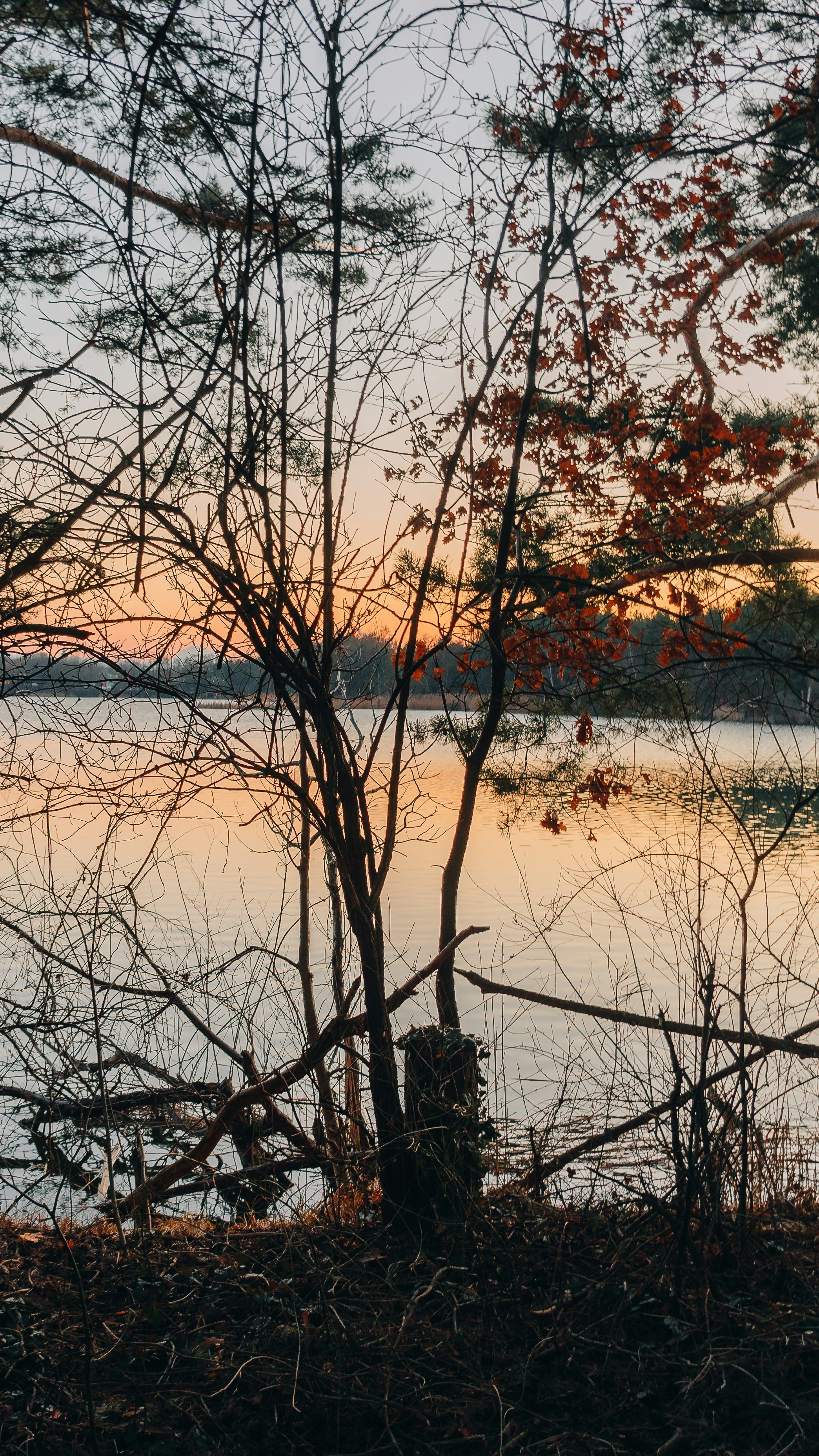 Image 1577476 — Nature